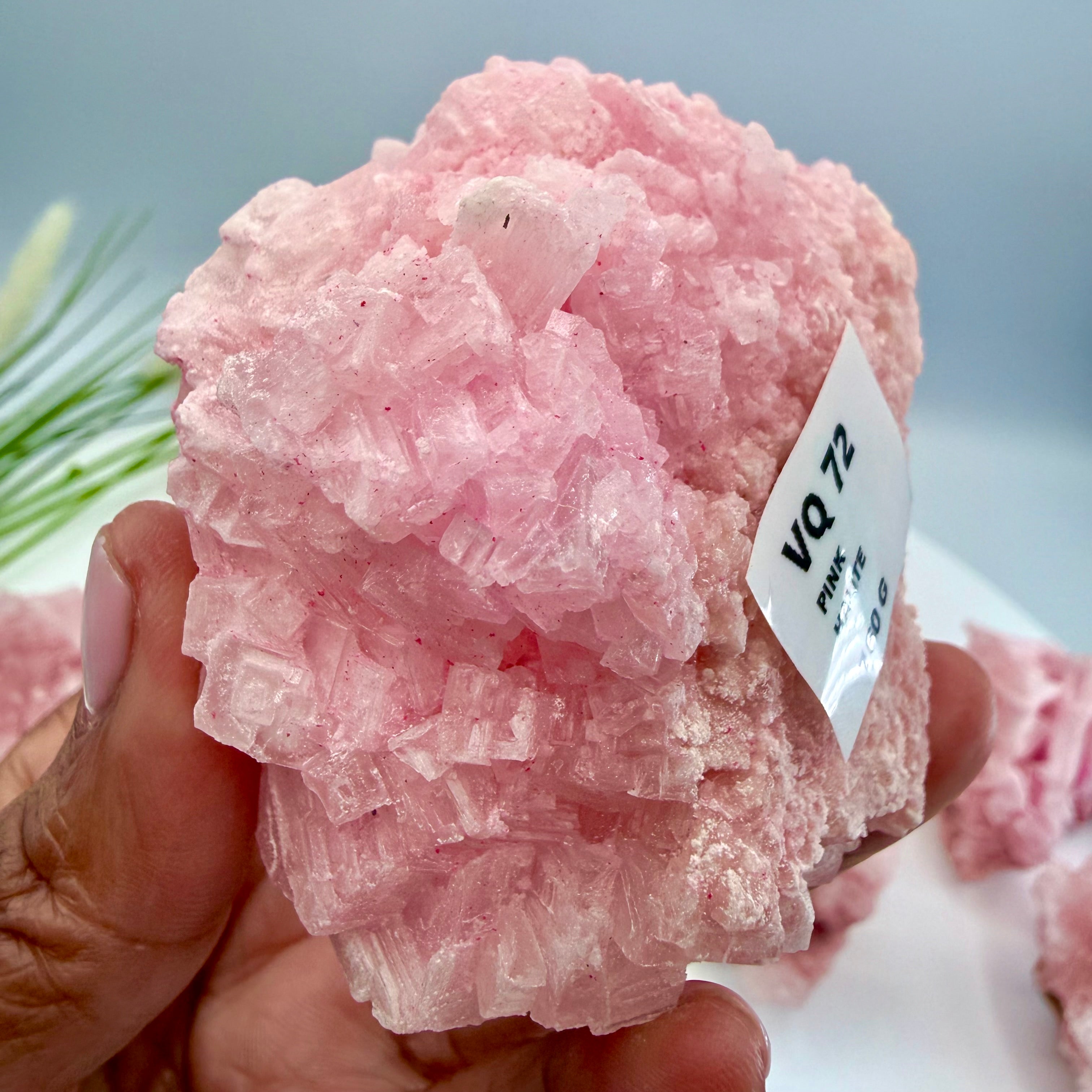 Pink Halite