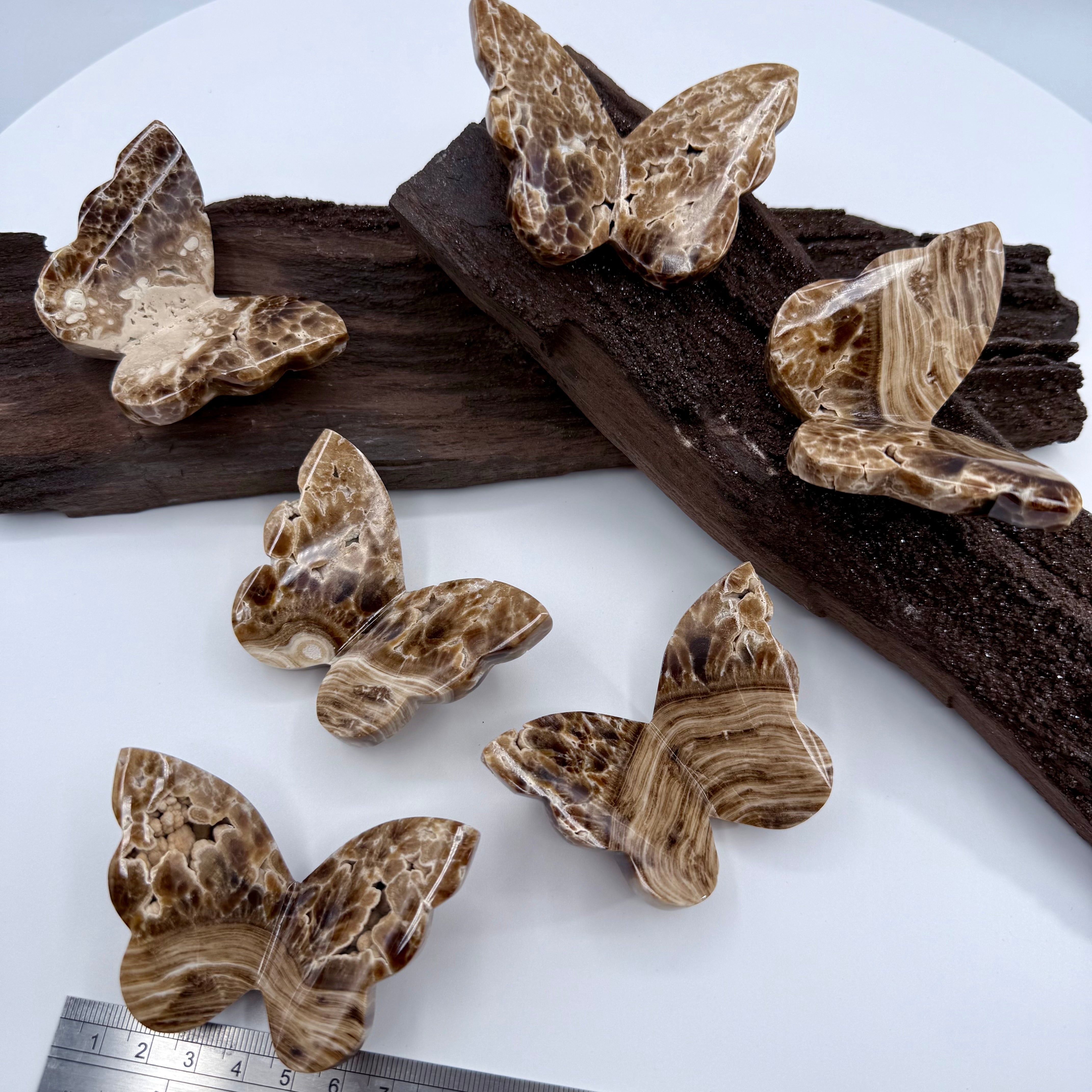 Chocolate Calcite Butterfly