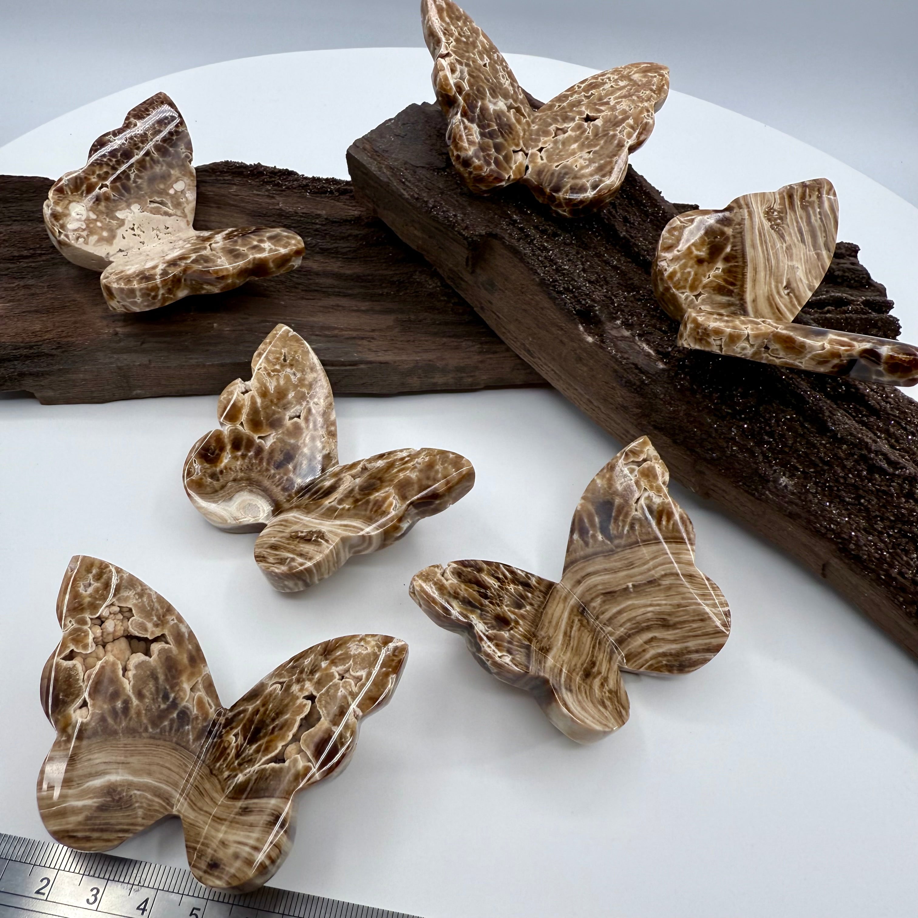 Chocolate Calcite Butterfly