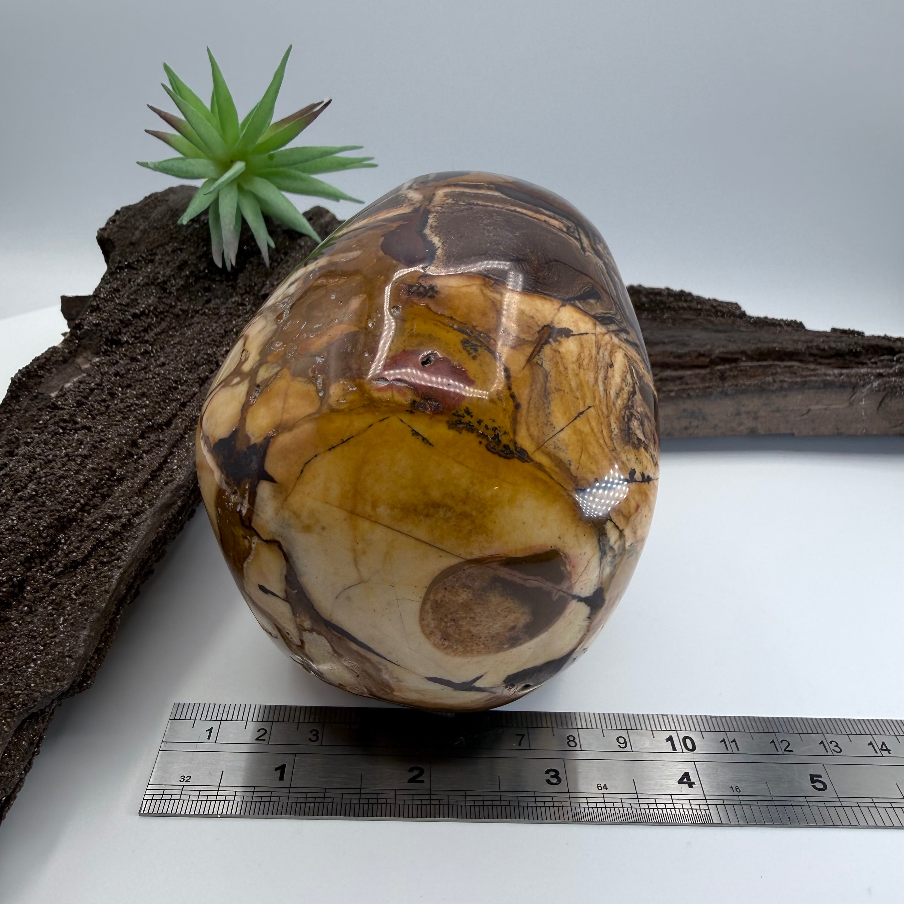 Luca Australian Outback Jasper Skull 5 inch [ KK195]