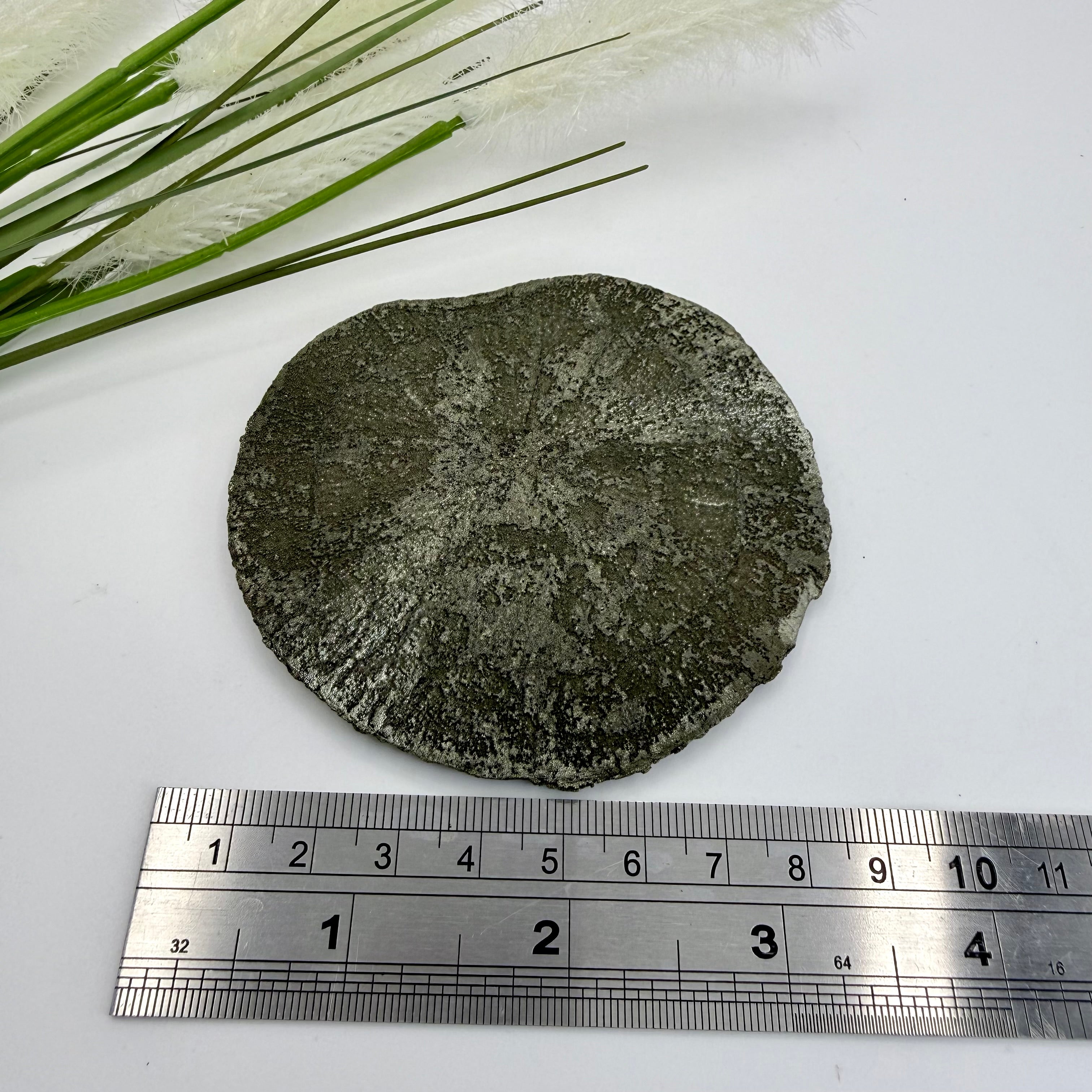 Illinois Pyrite Sun 8.5cm Diameter