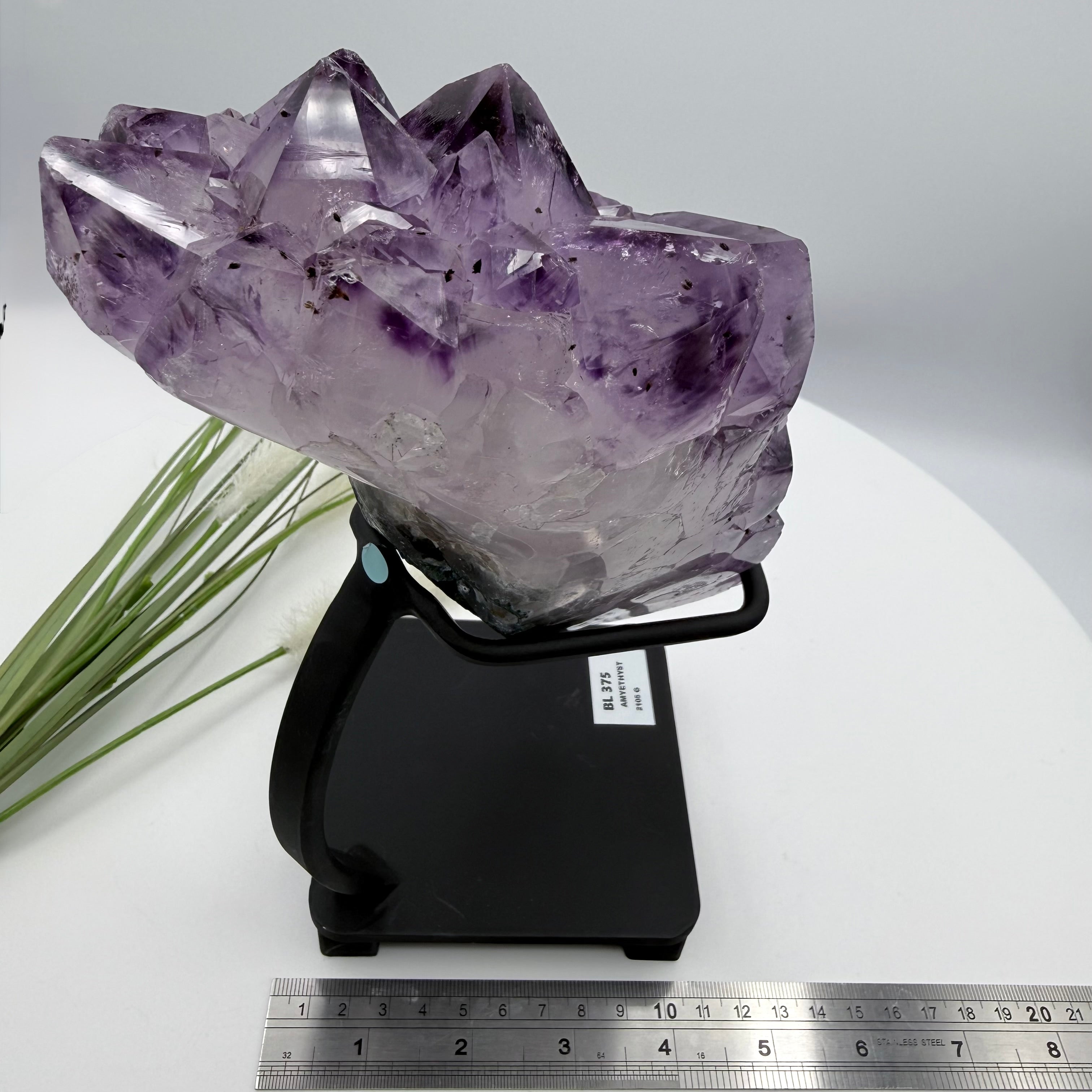 Amethyst Cluster with Gold Goethite Fan Rutile