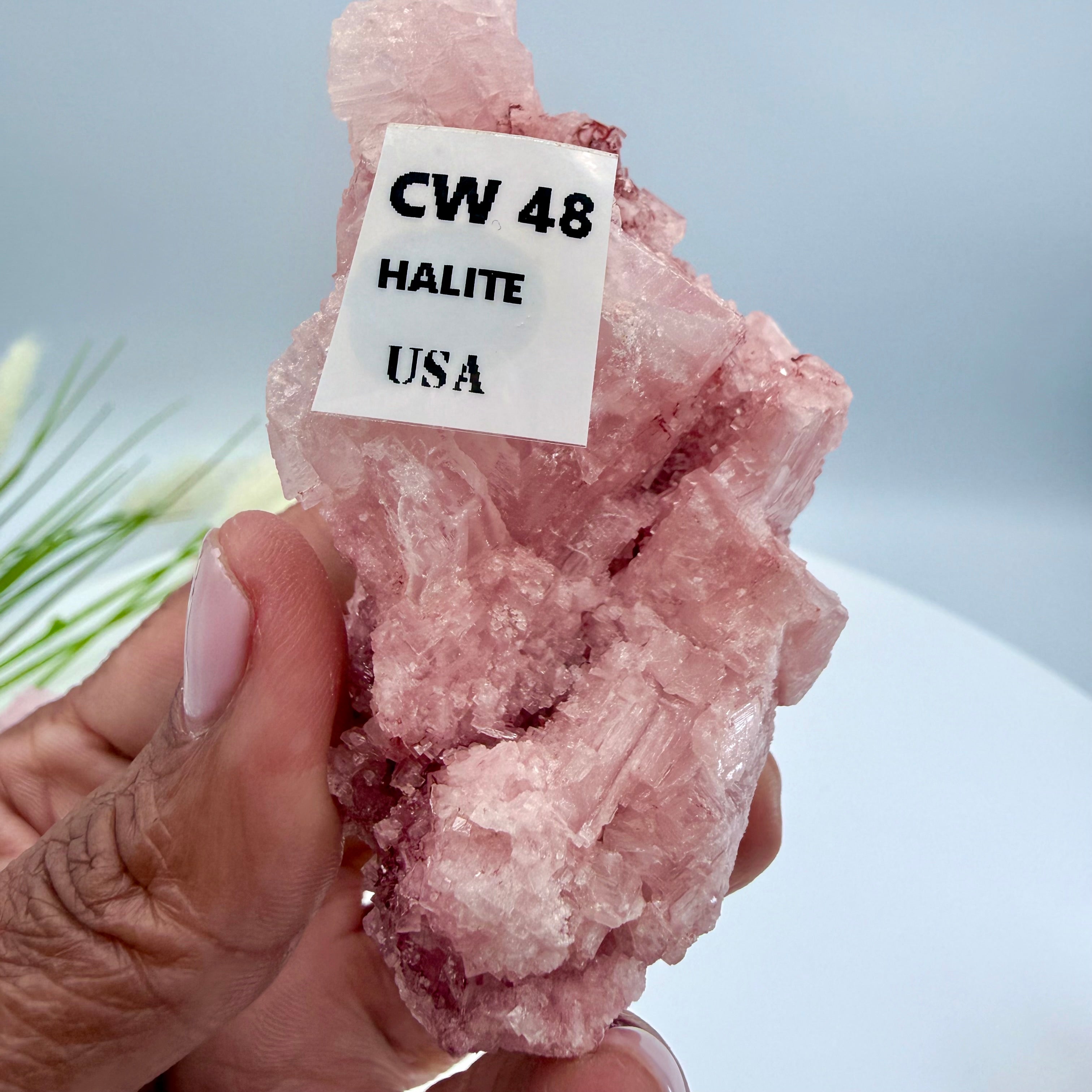 Pink Halite