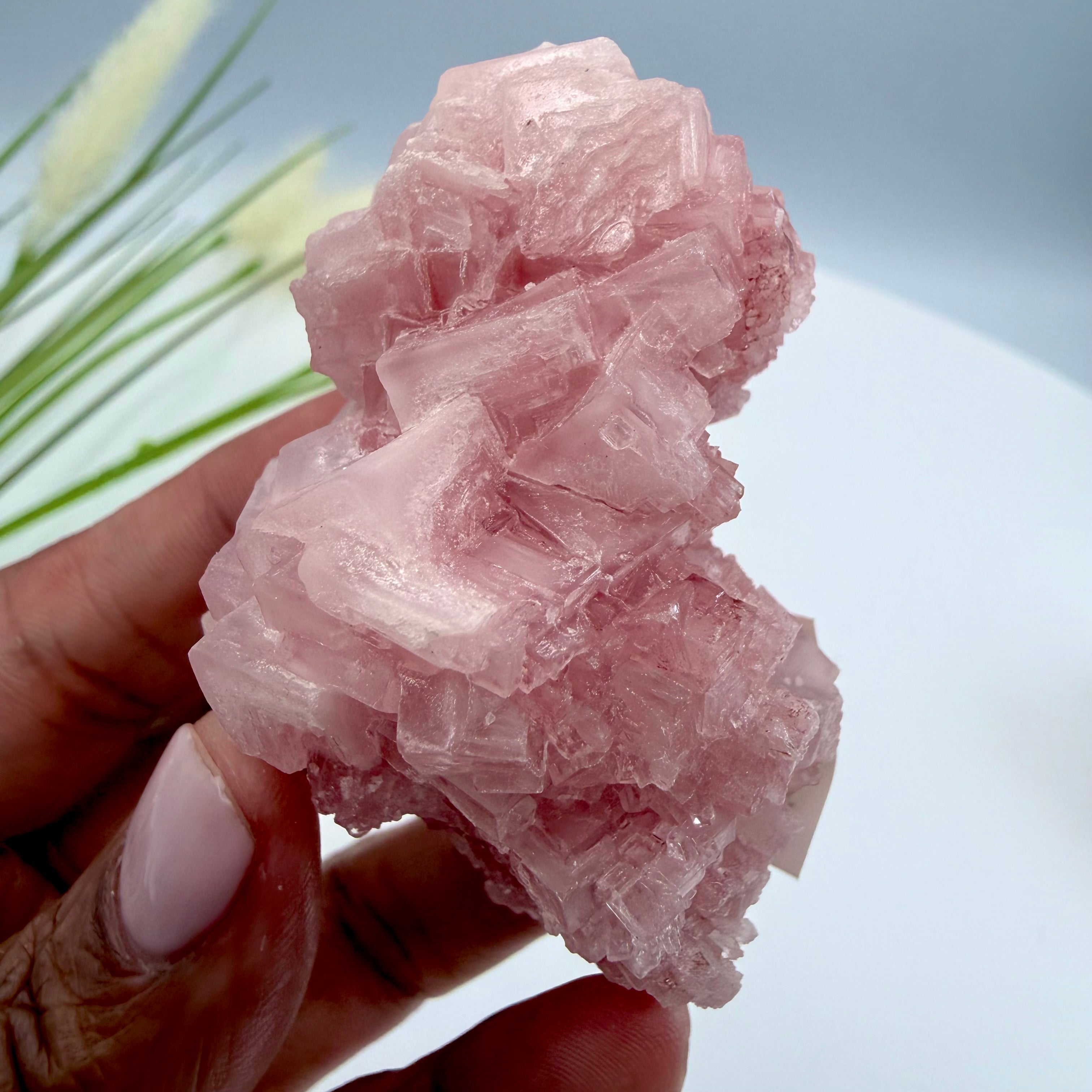 Pink Halite