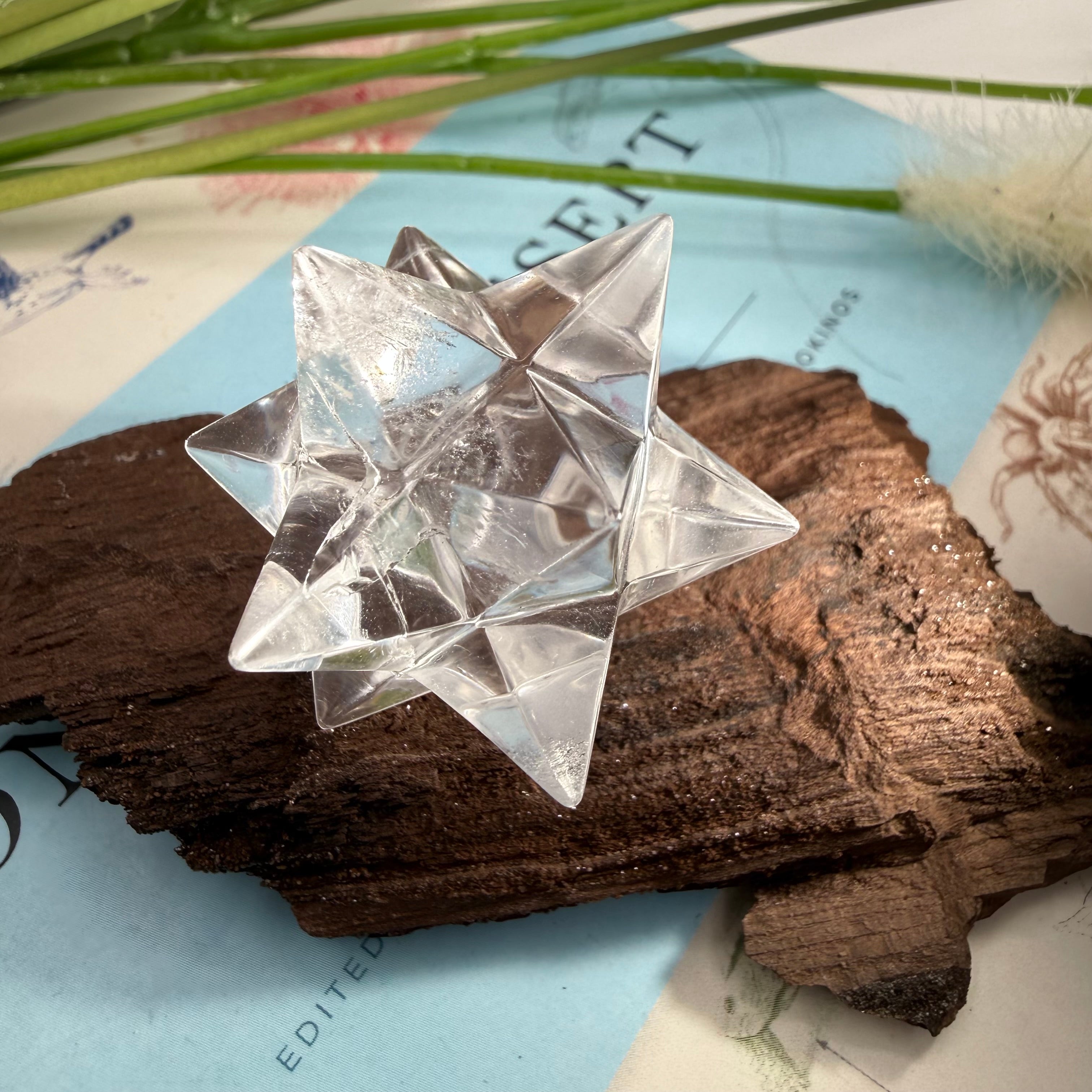 Himalayan Merkabah Star