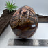 Outback Jackson Australian Outback Jasper Skull 5 inch [OA333]
