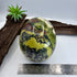 Wolfy Hiso Jasper 5inch Skull [JU249]