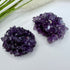 Uruguayan Amethyst Flower
