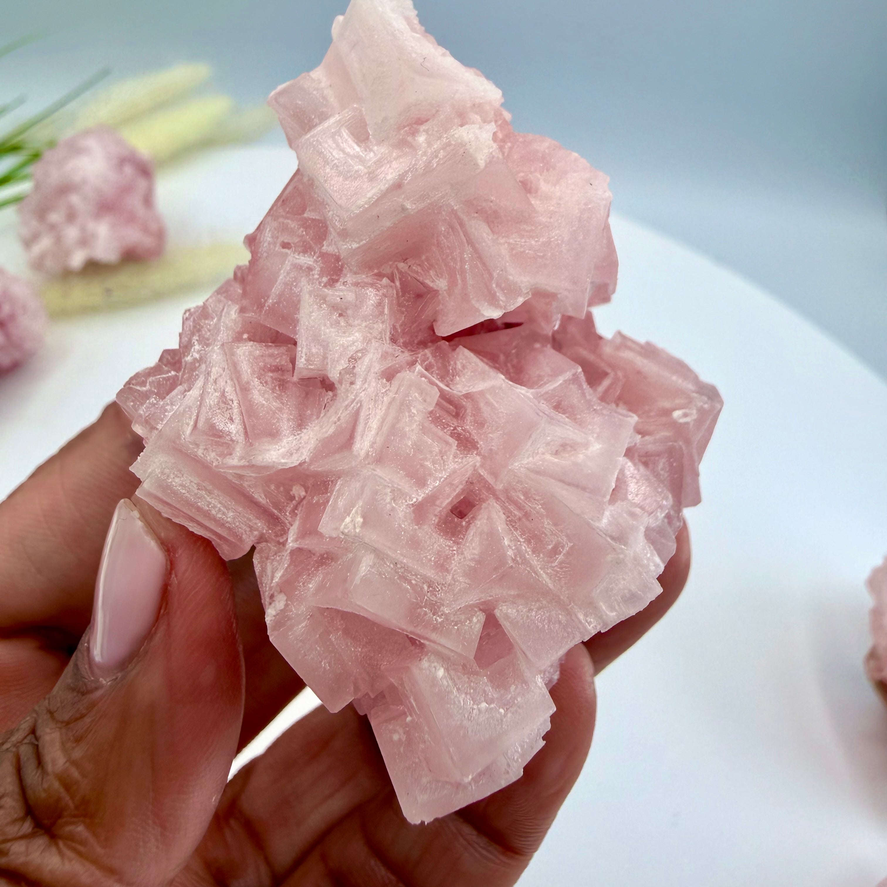 Pink Halite
