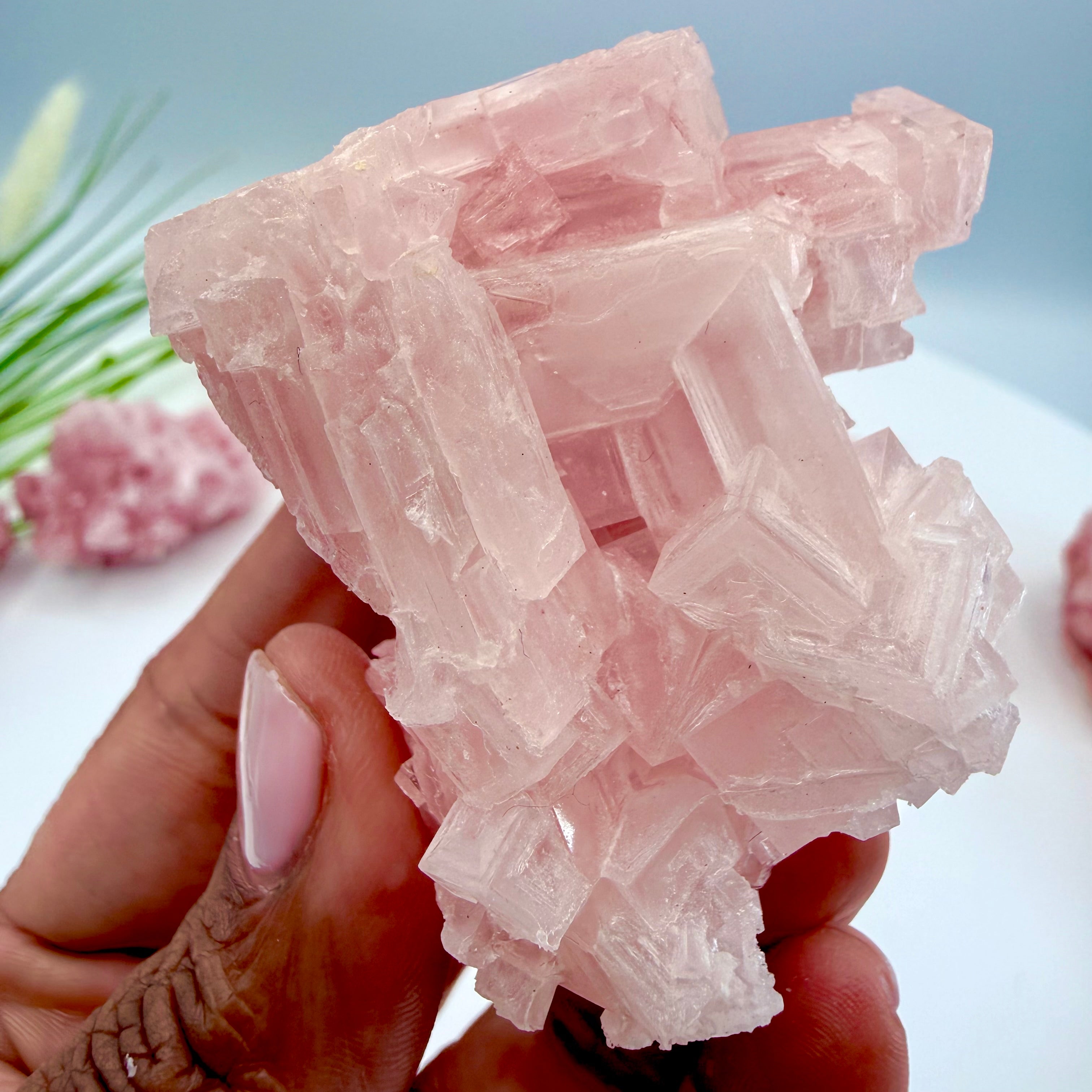 Pink Halite