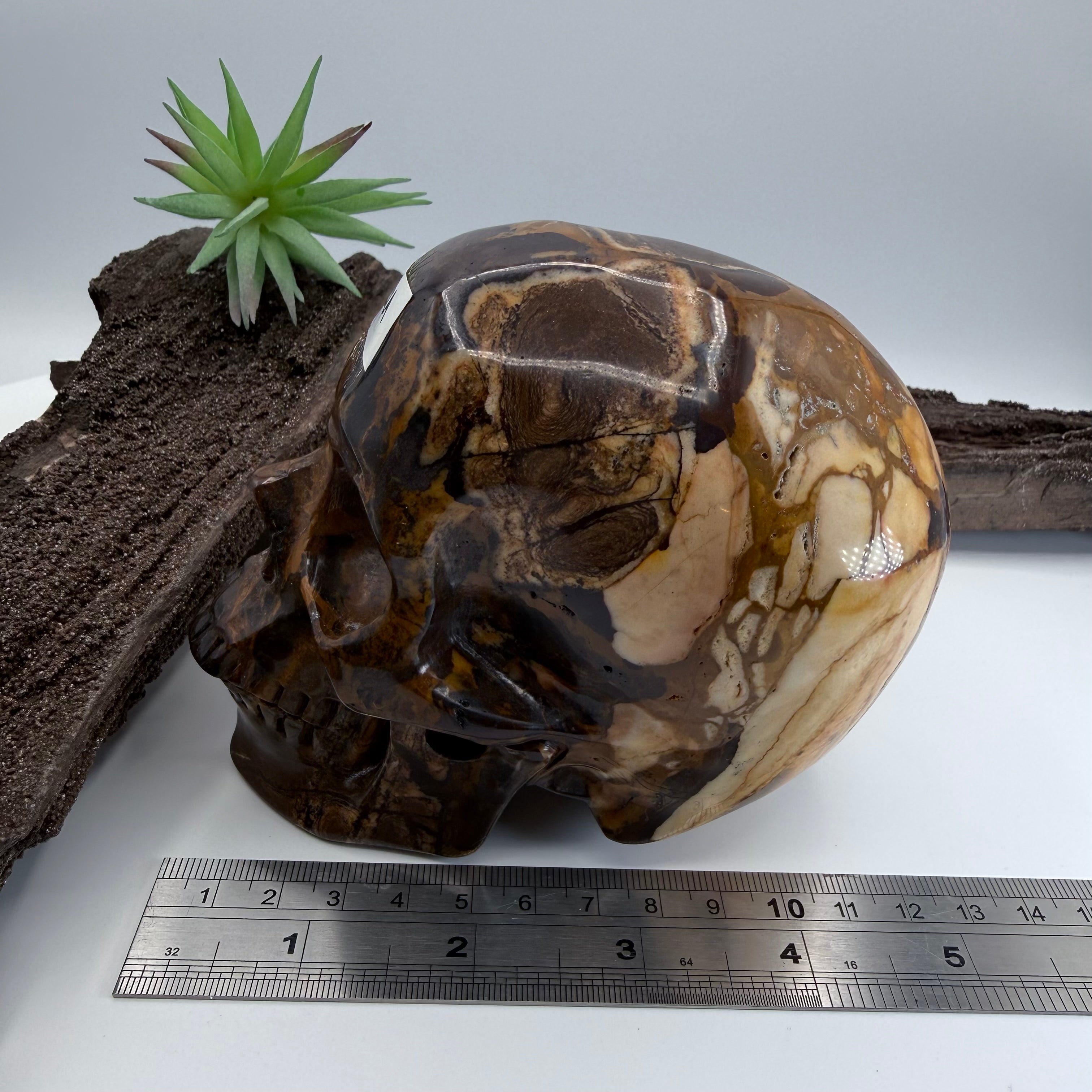 Luca Australian Outback Jasper Skull 5 inch [ KK195]