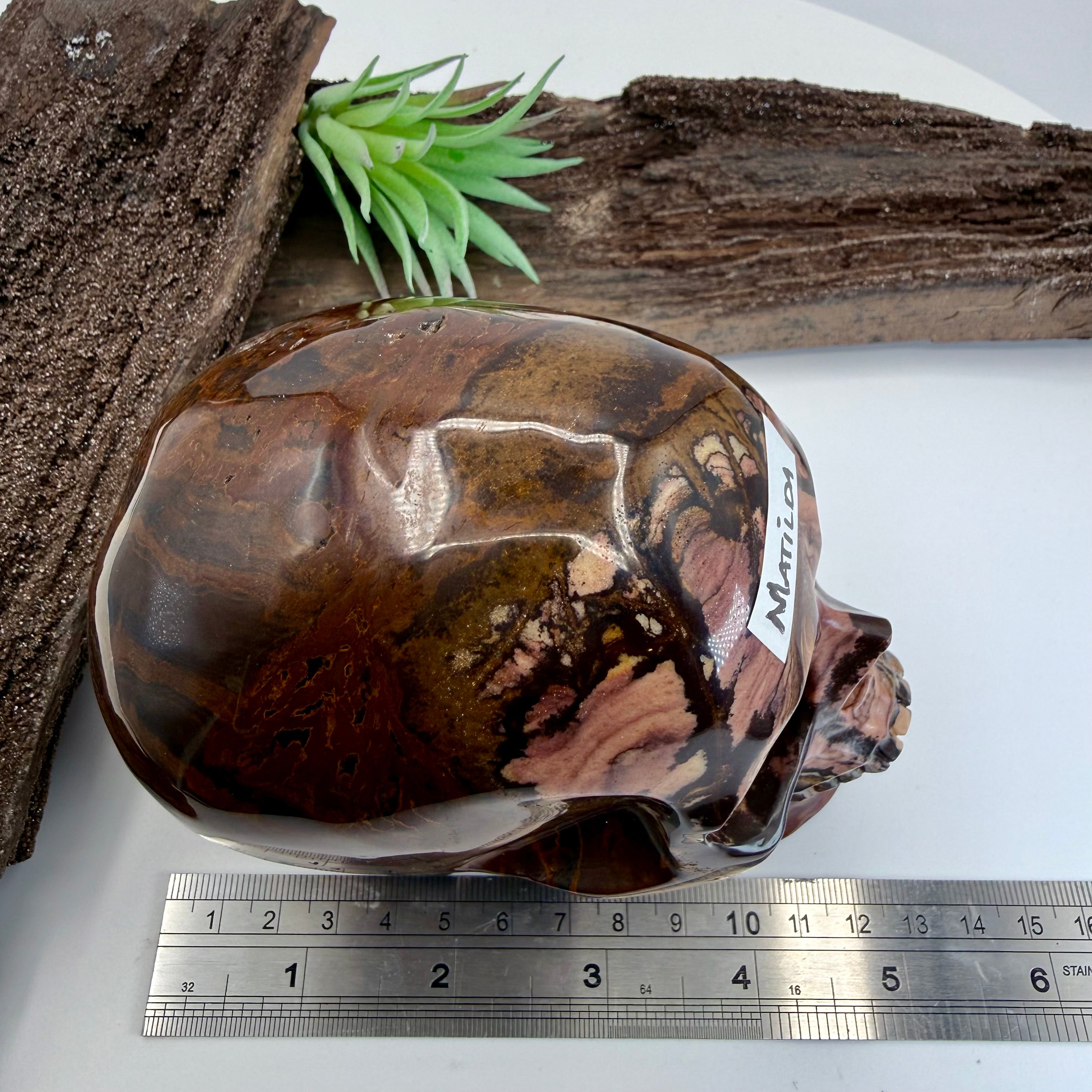 Matilda Australian Outback Jasper 5inch Skull [KJ189]
