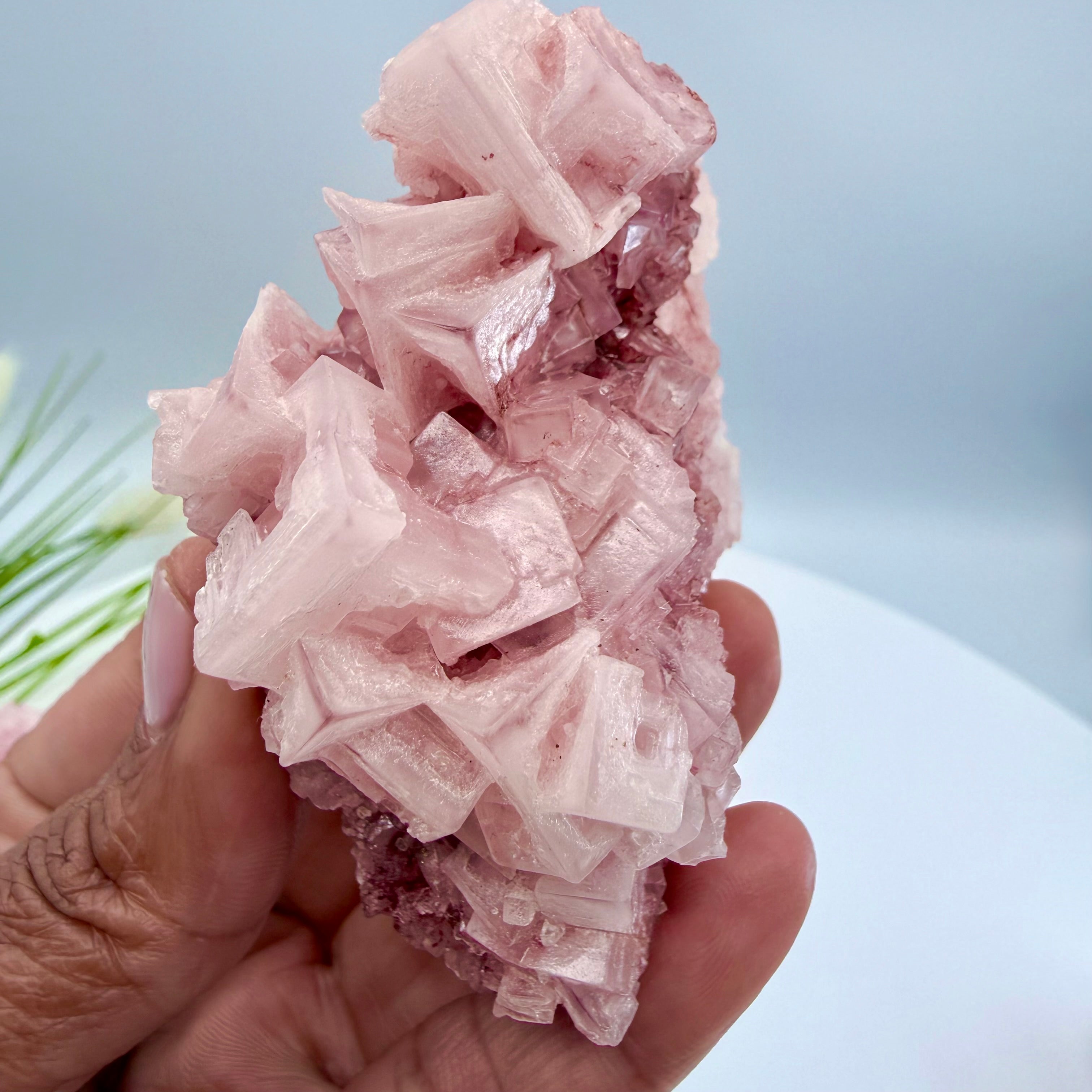 Pink Halite