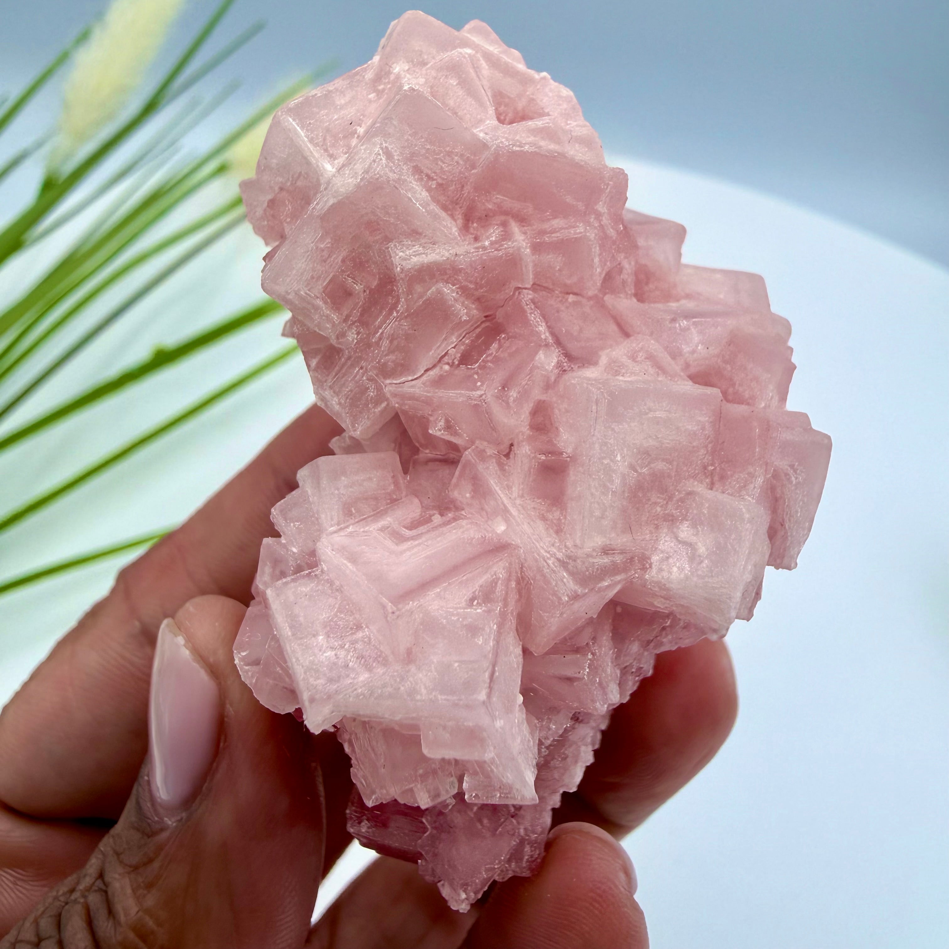 Pink Halite
