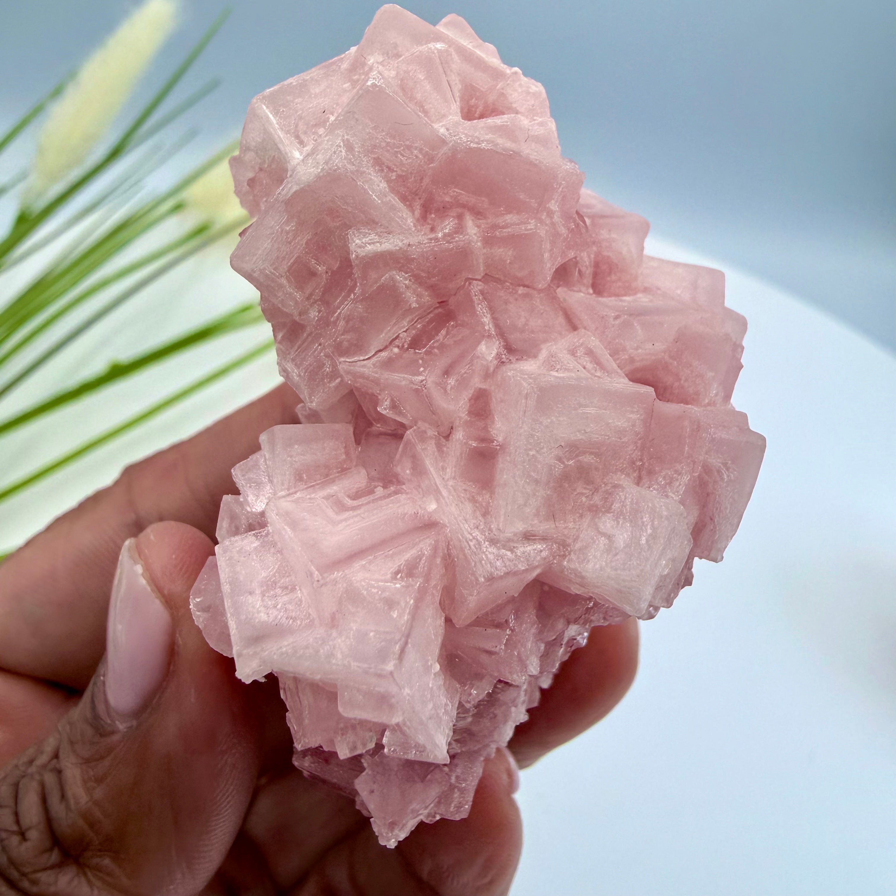 Pink Halite