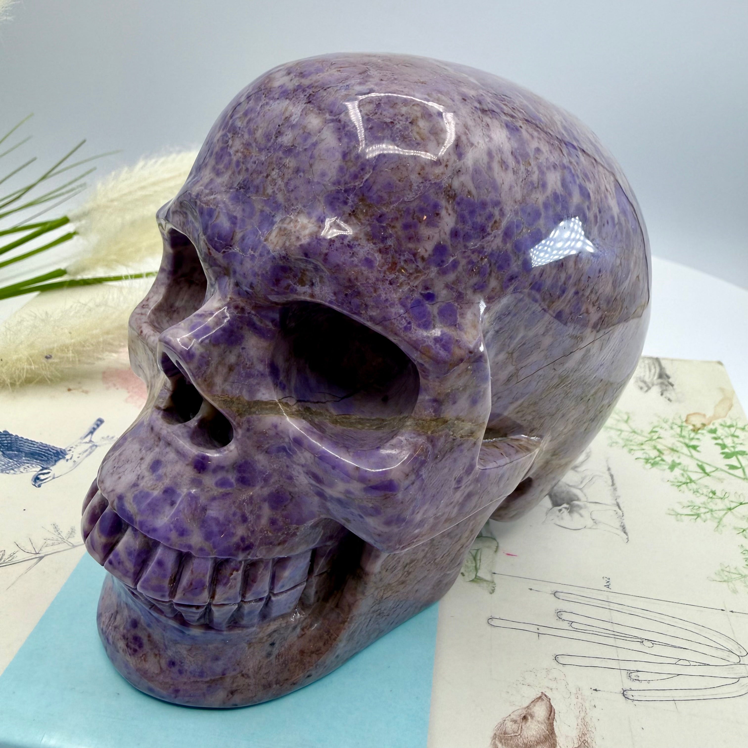 Turkiyenite Skull 5inch (Very Rare Turkish Lavender Jade) [SQ888]