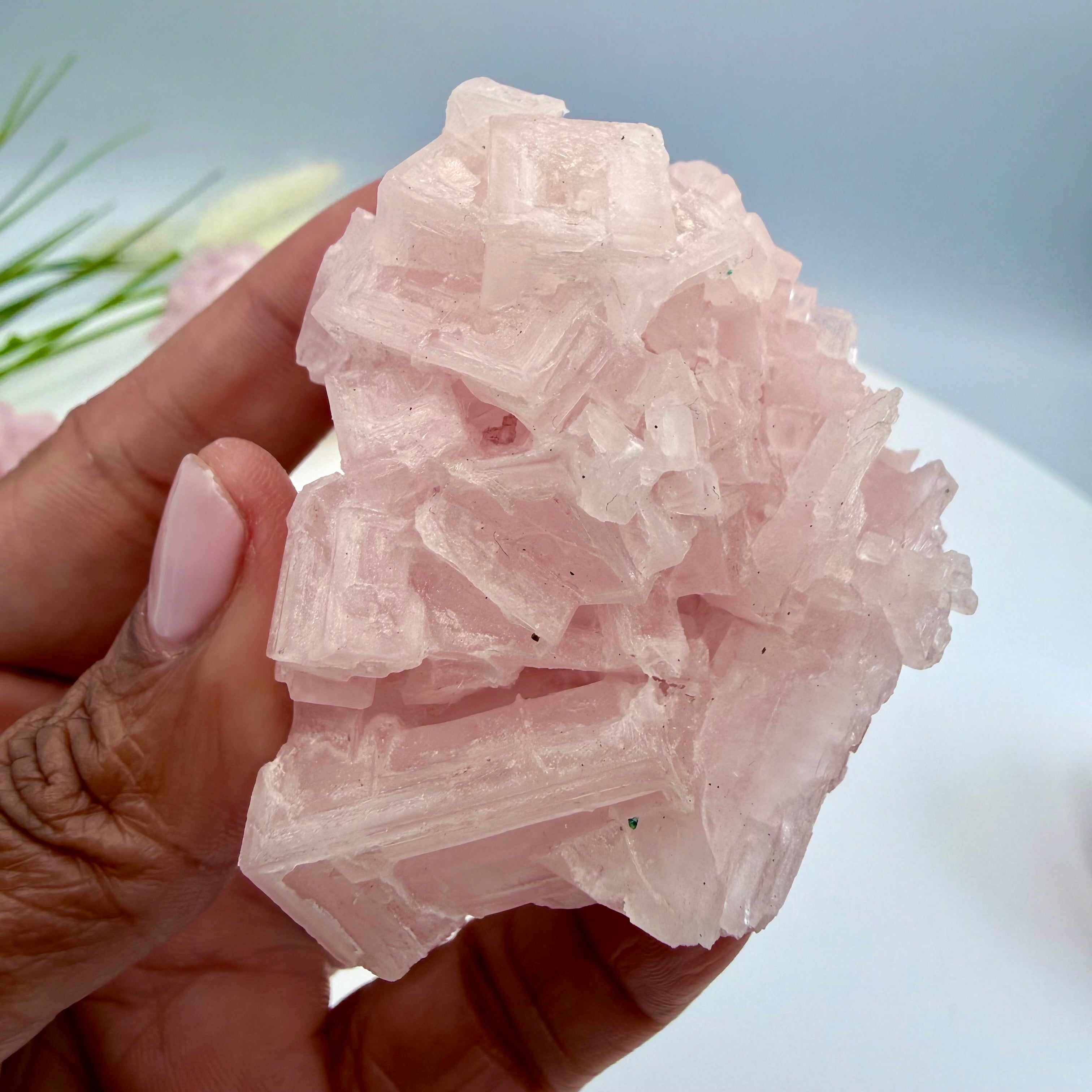 Pink Halite