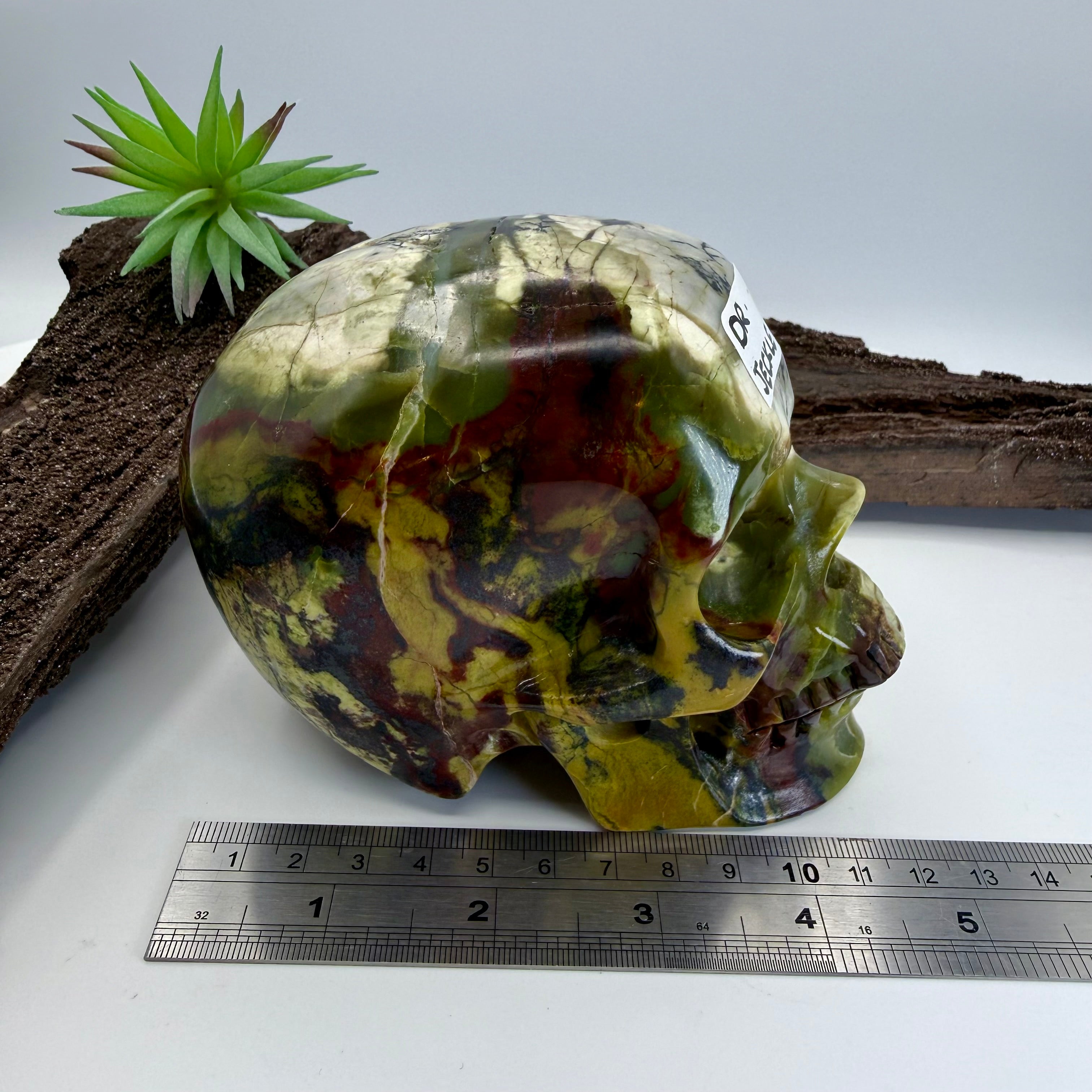 Dr Jeckle Hiso Jasper 5inch Skull [KB244]