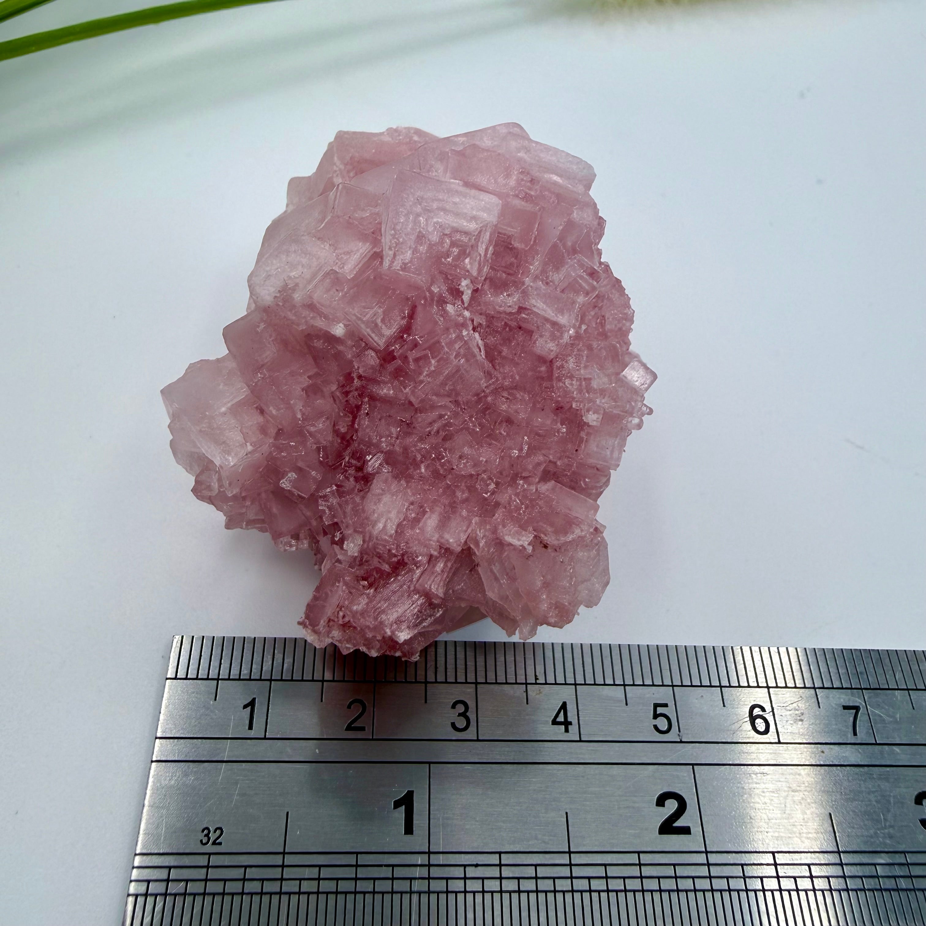 Pink Halite