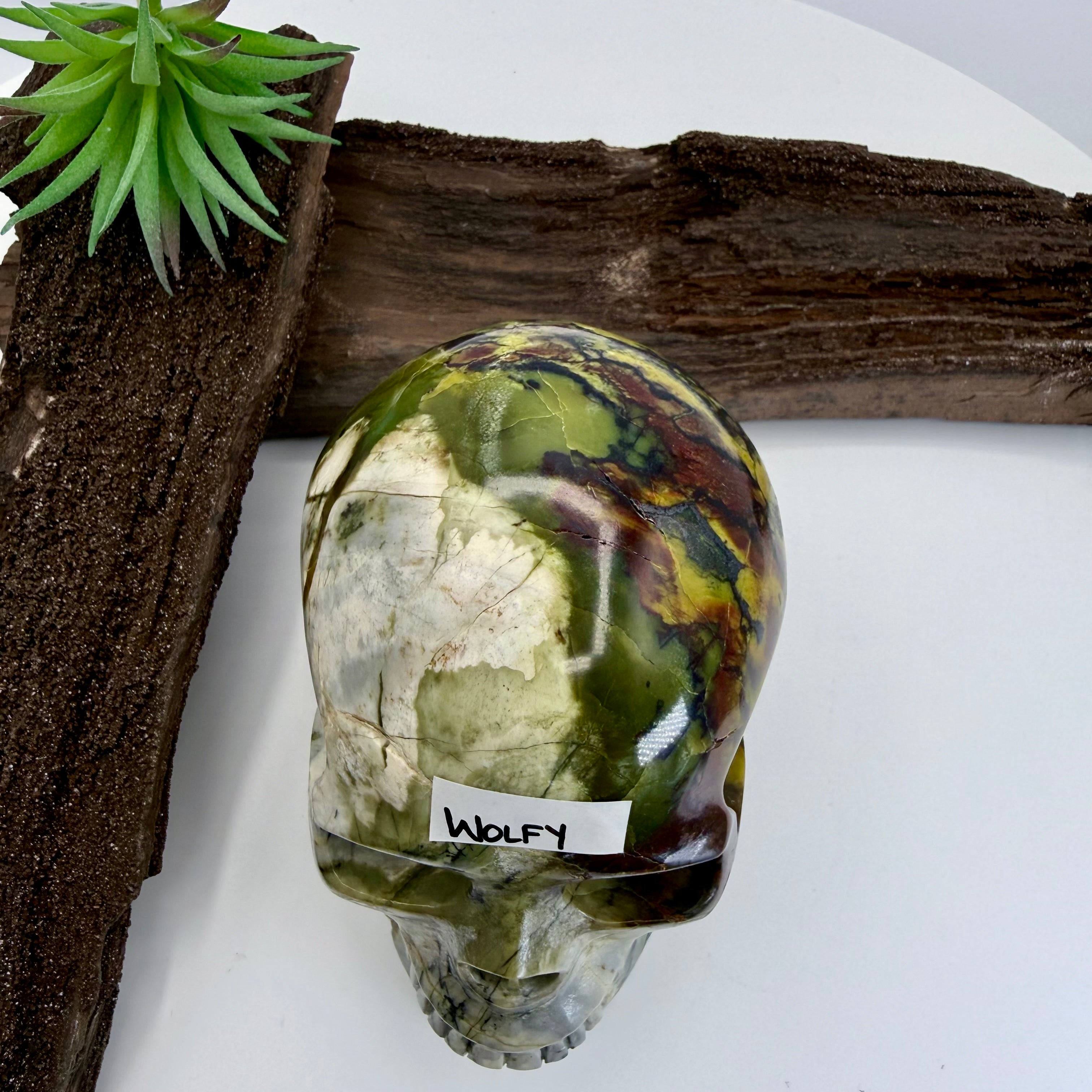 Wolfy Hiso Jasper 5inch Skull [JU249]
