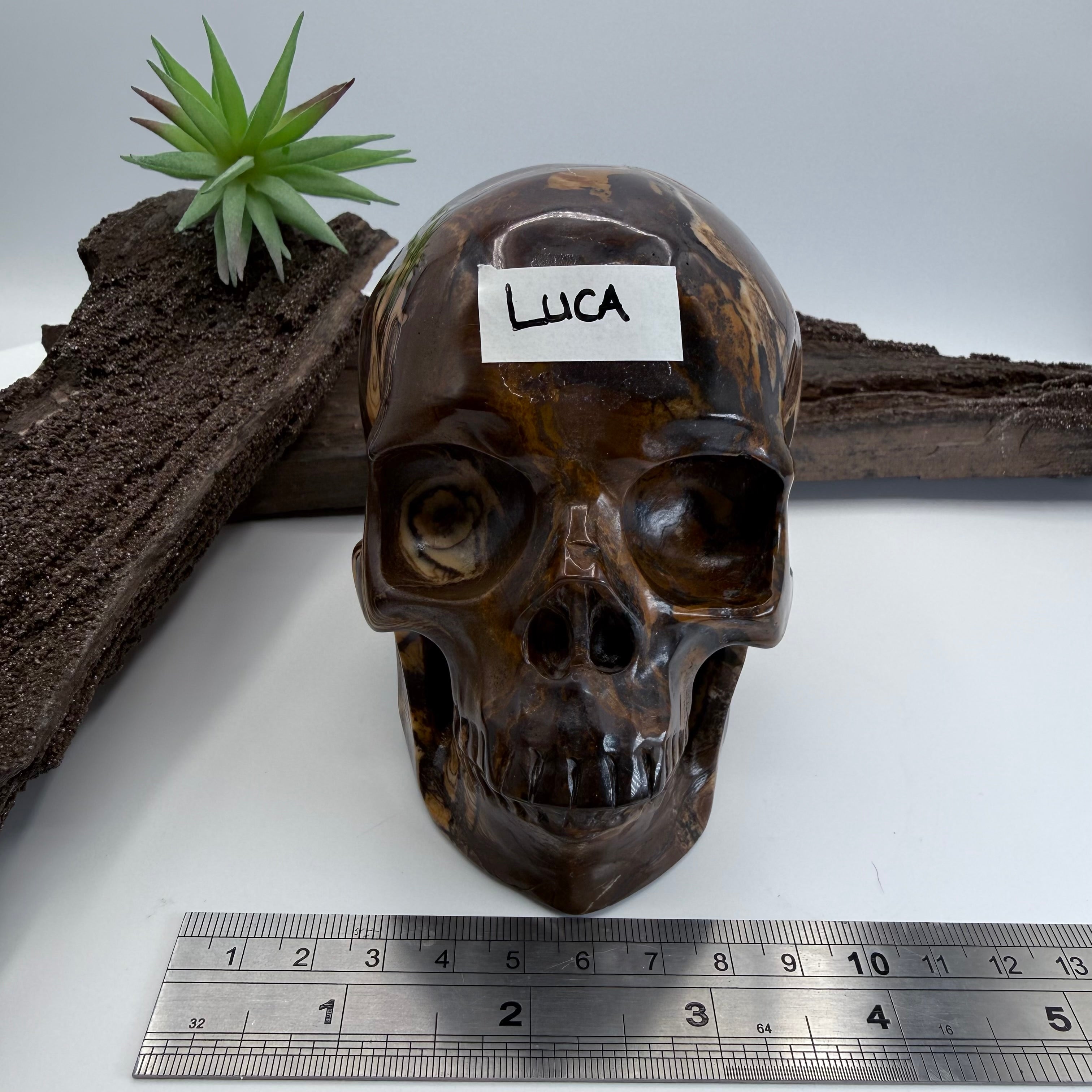 Luca Australian Outback Jasper Skull 5 inch [ KK195]
