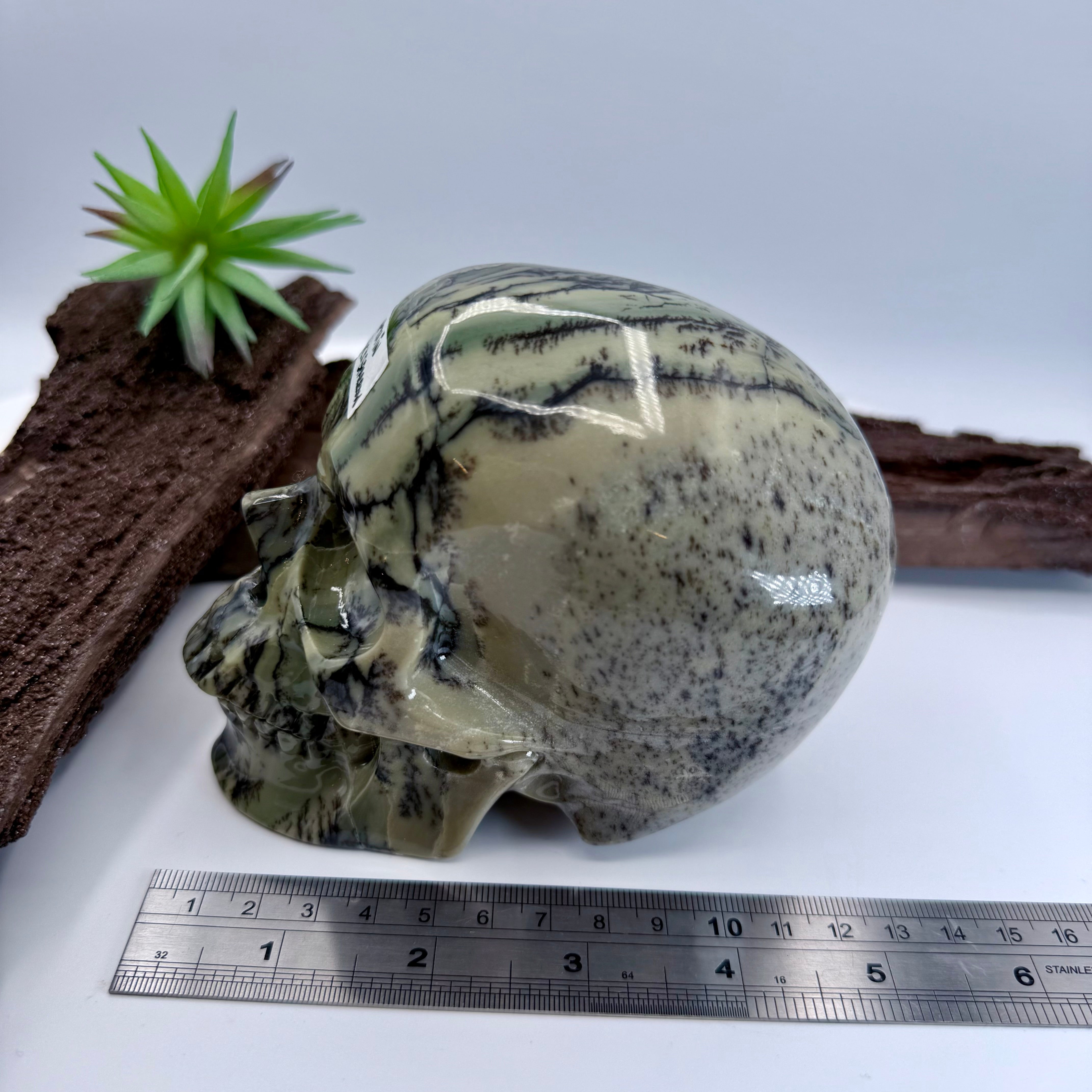 Captain Jack Sparrow Australian Green Dentritic Opal 5inch  [KH199]