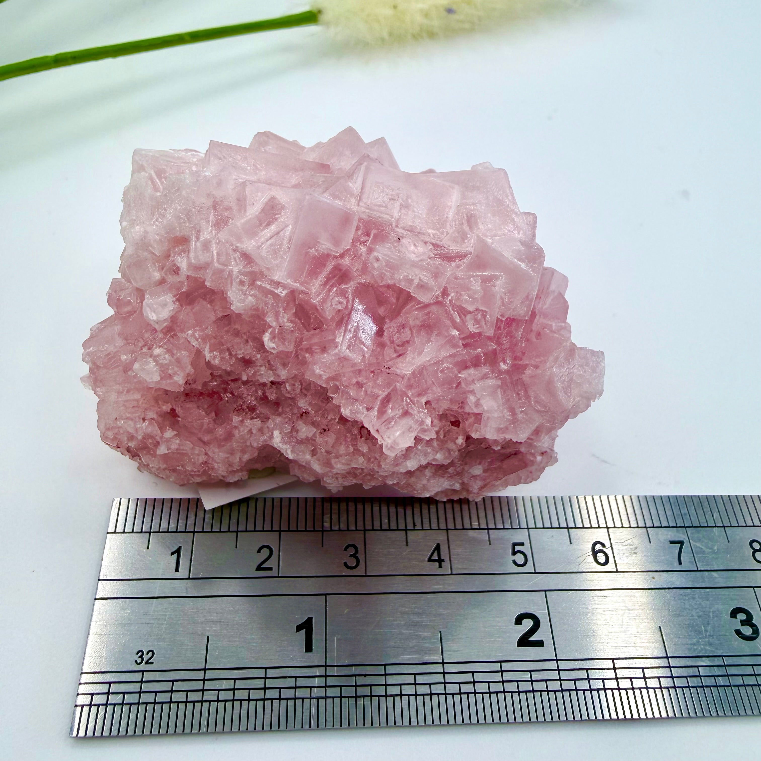 Pink Halite