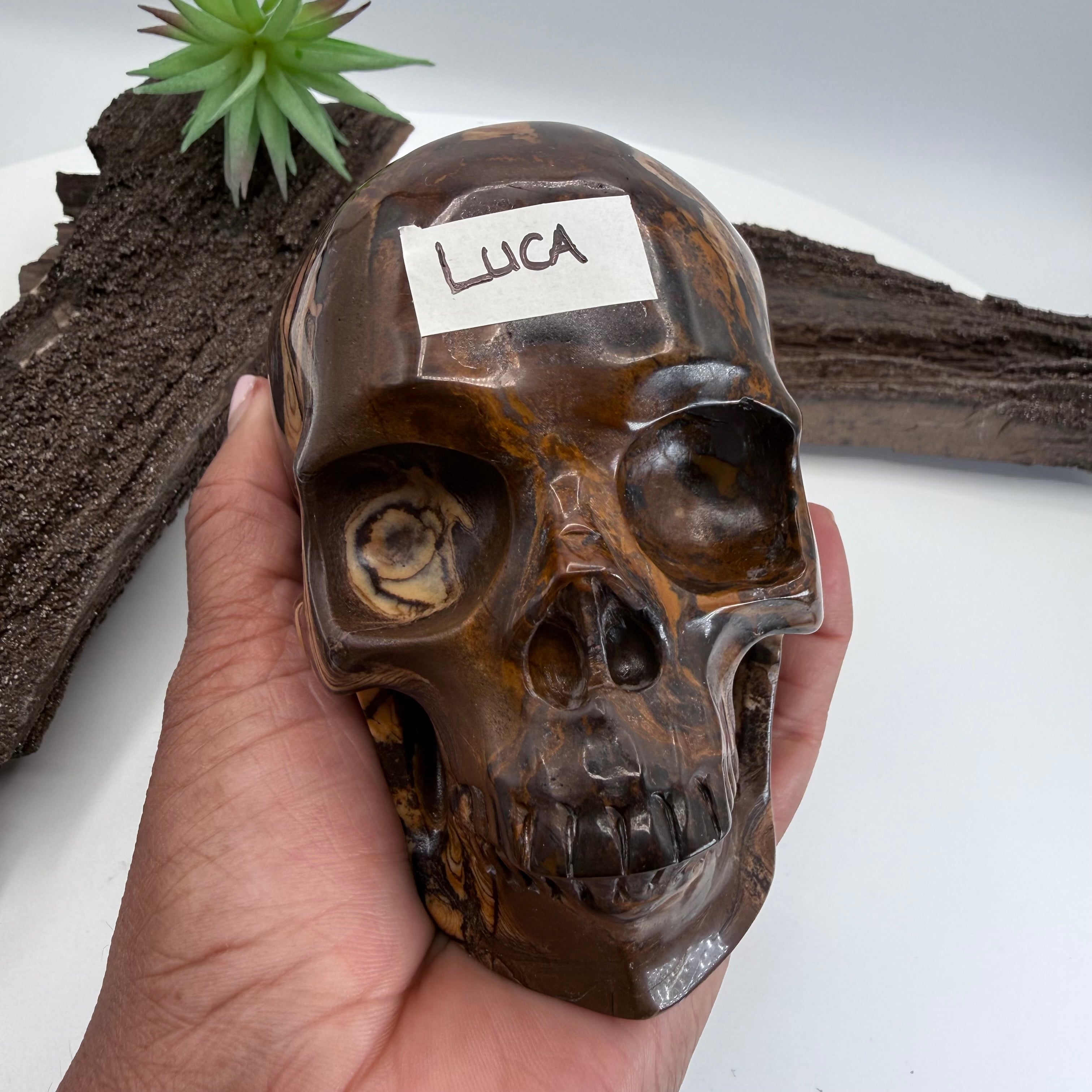 Luca Australian Outback Jasper Skull 5 inch [ KK195]
