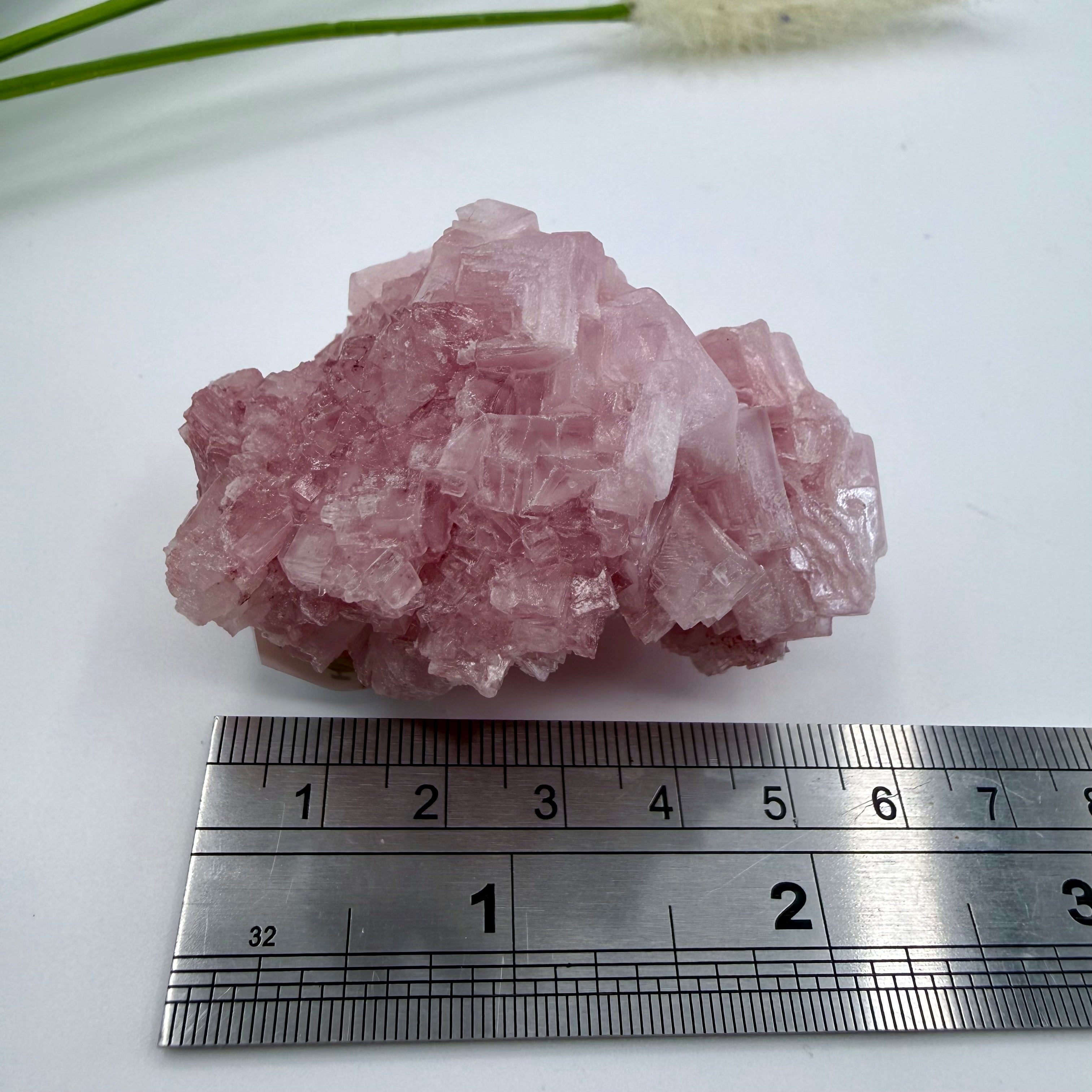 Pink Halite