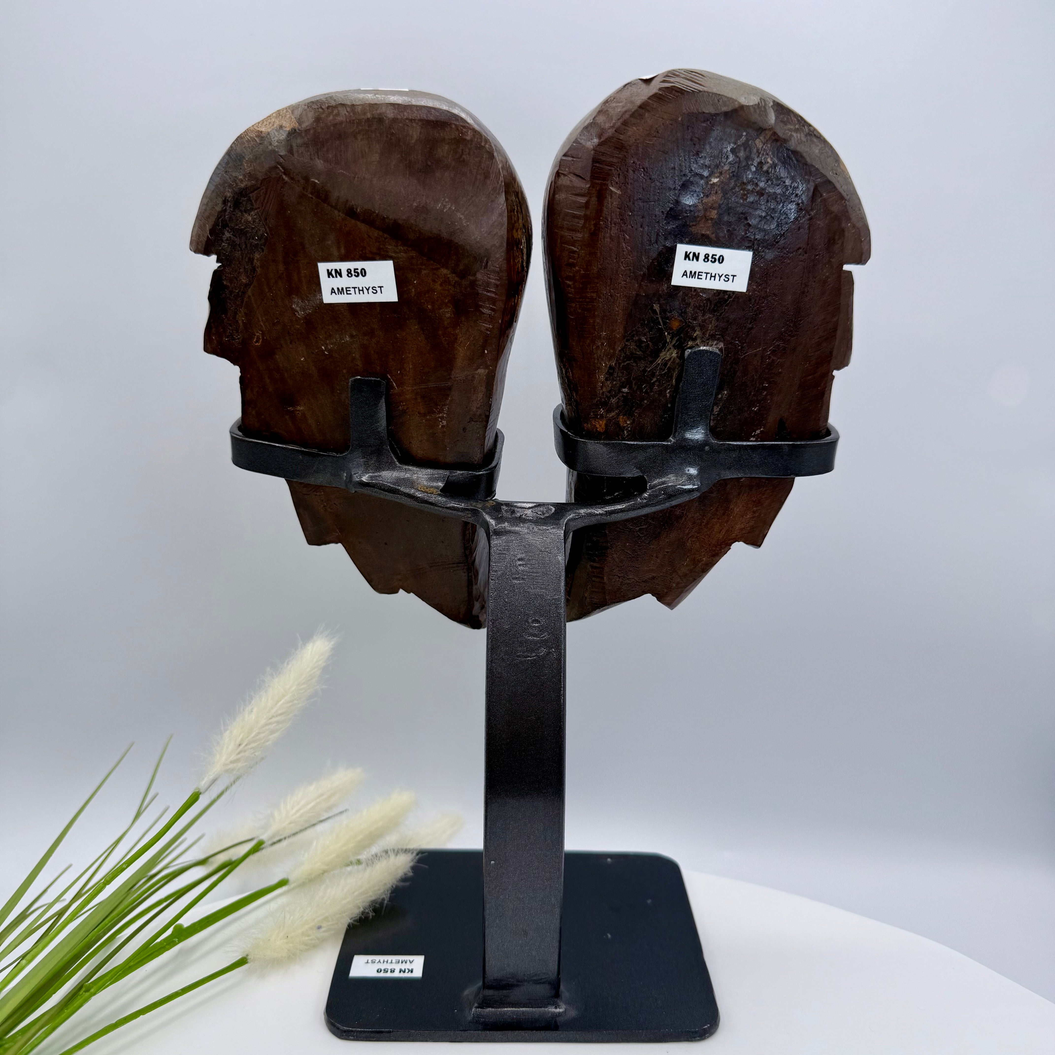 Uruguayan Amethyst Angel Wings [KN850]