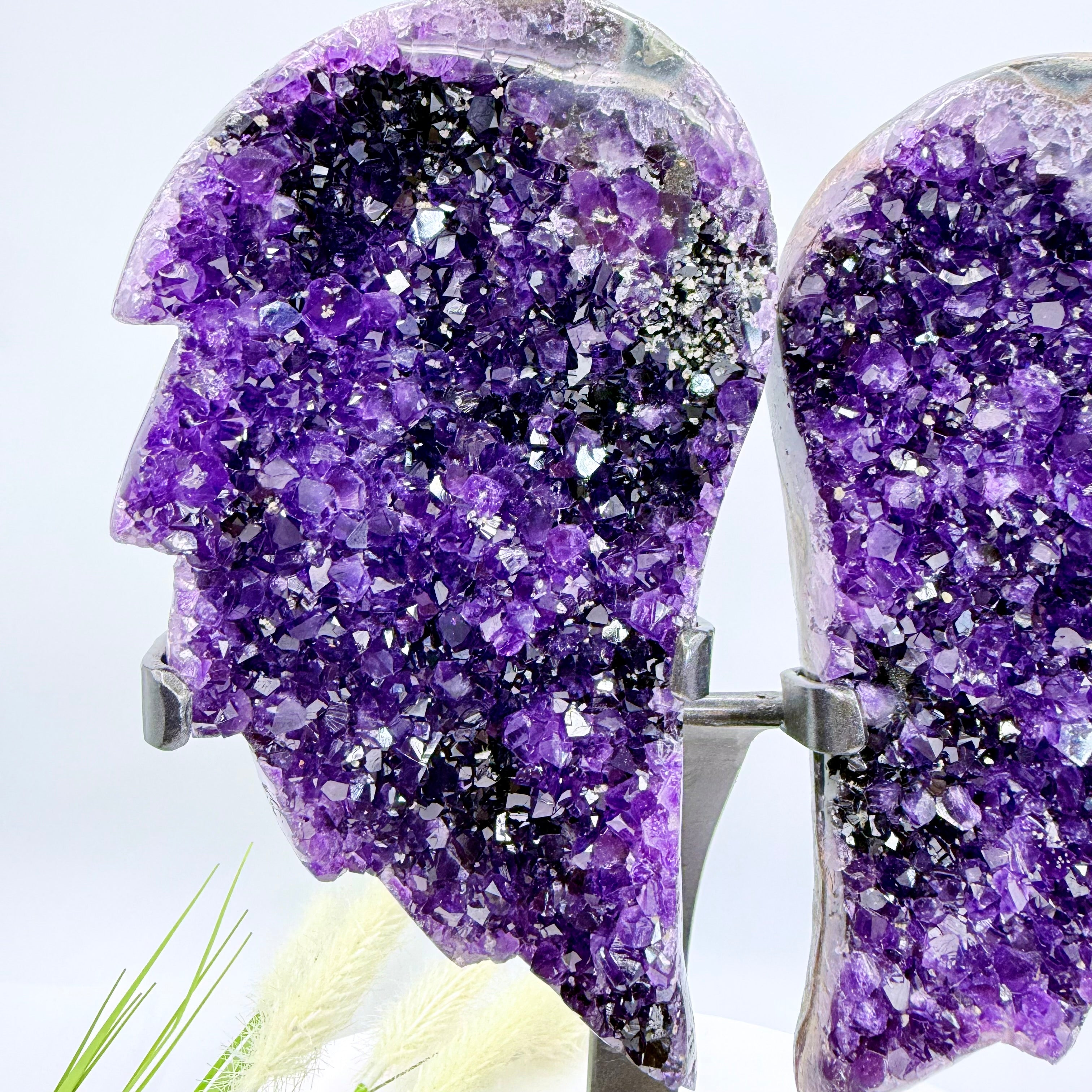 Uruguayan Amethyst Angel Wings [KN850]