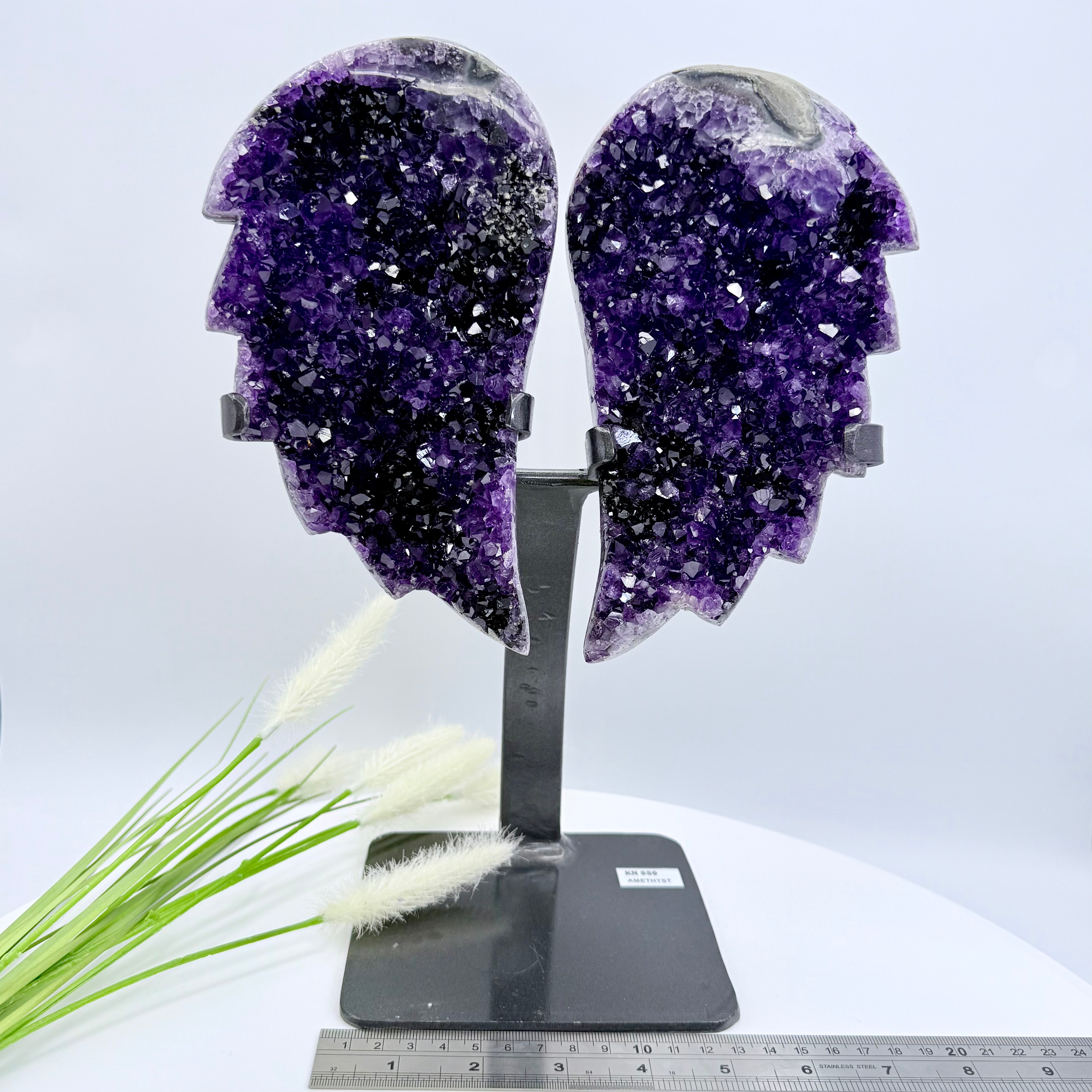 Uruguayan Amethyst Angel Wings [KN850]
