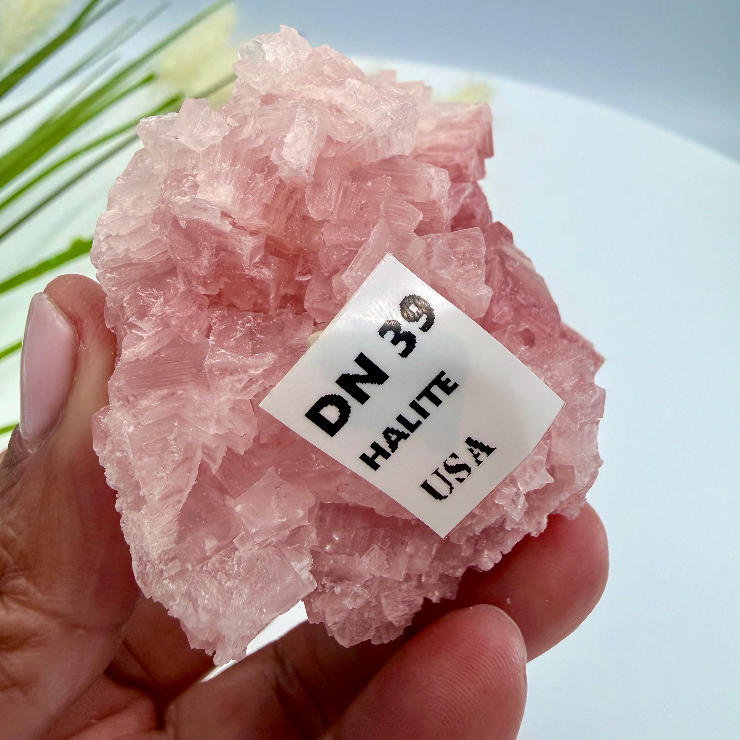 Pink Halite