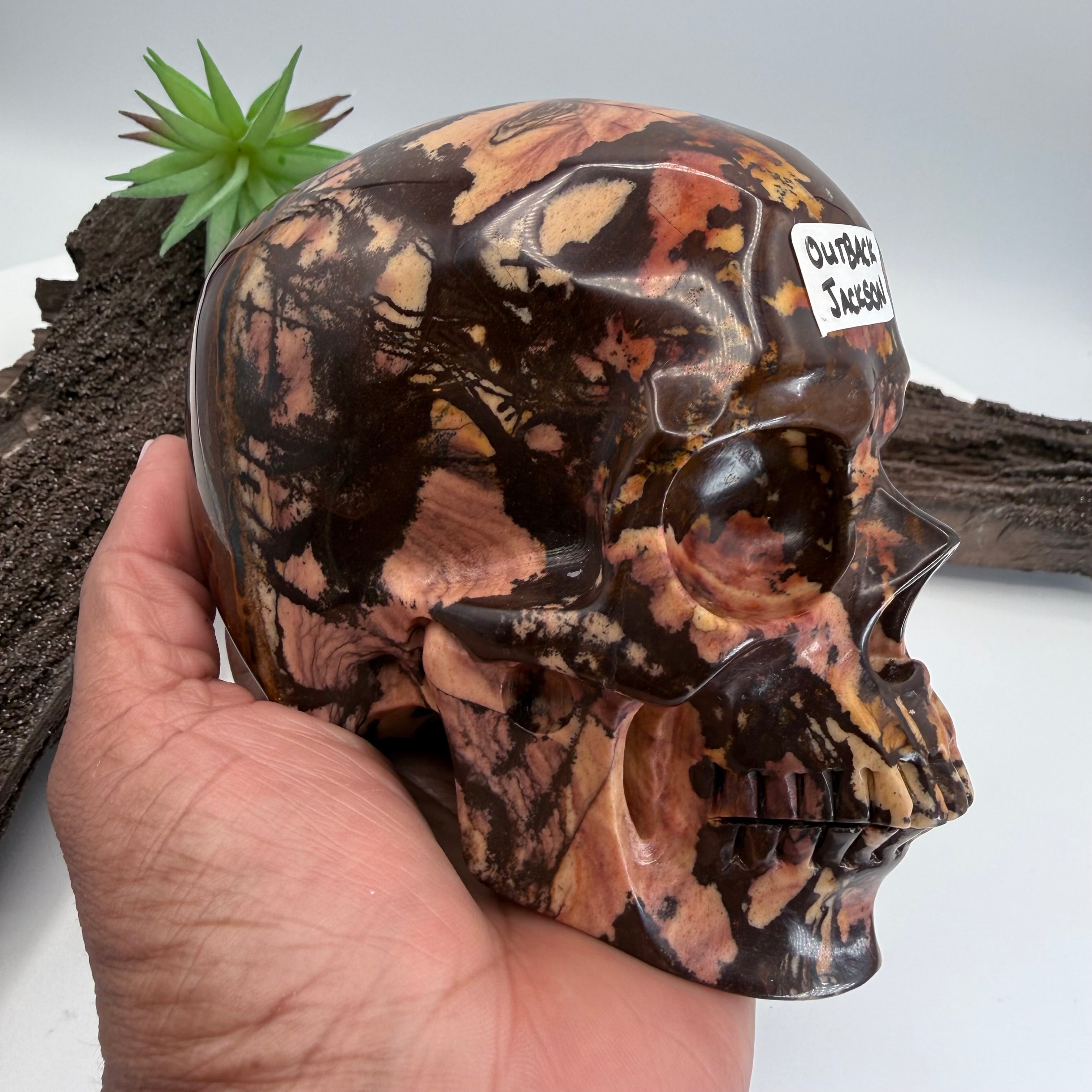 Outback Jackson Australian Outback Jasper Skull 5 inch [OA333]