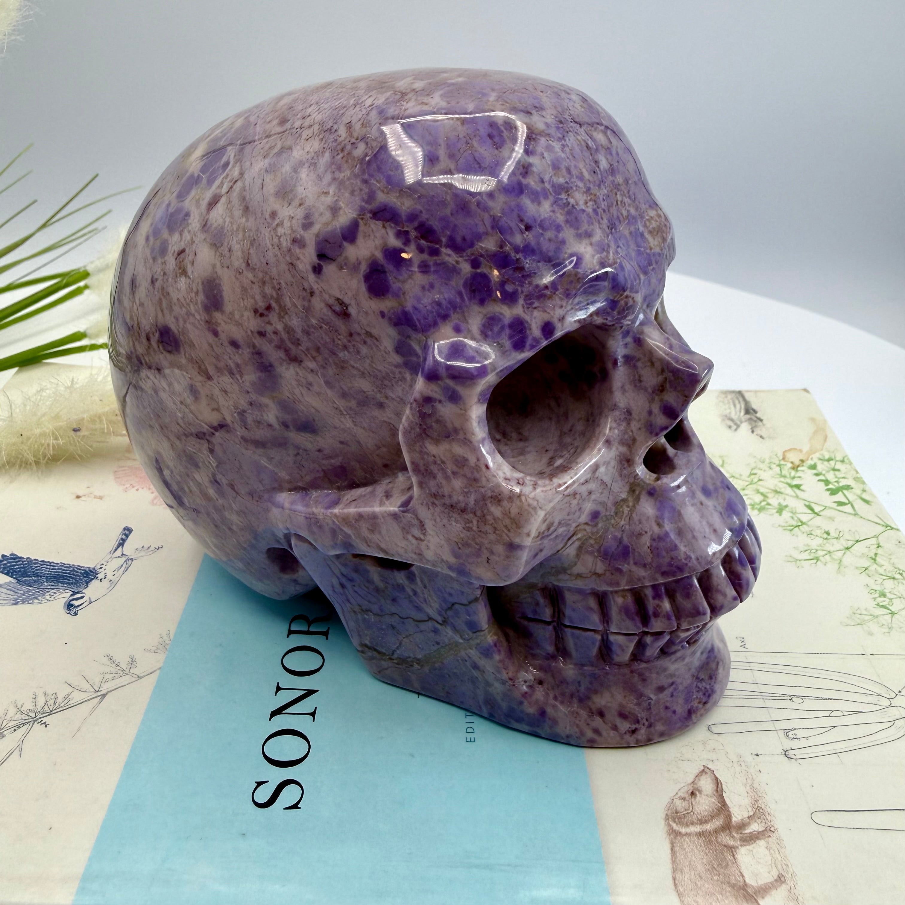 Turkiyenite Skull 5inch (Very Rare Turkish Lavender Jade) [SQ888]