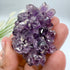 Uruguayan Amethyst Flower