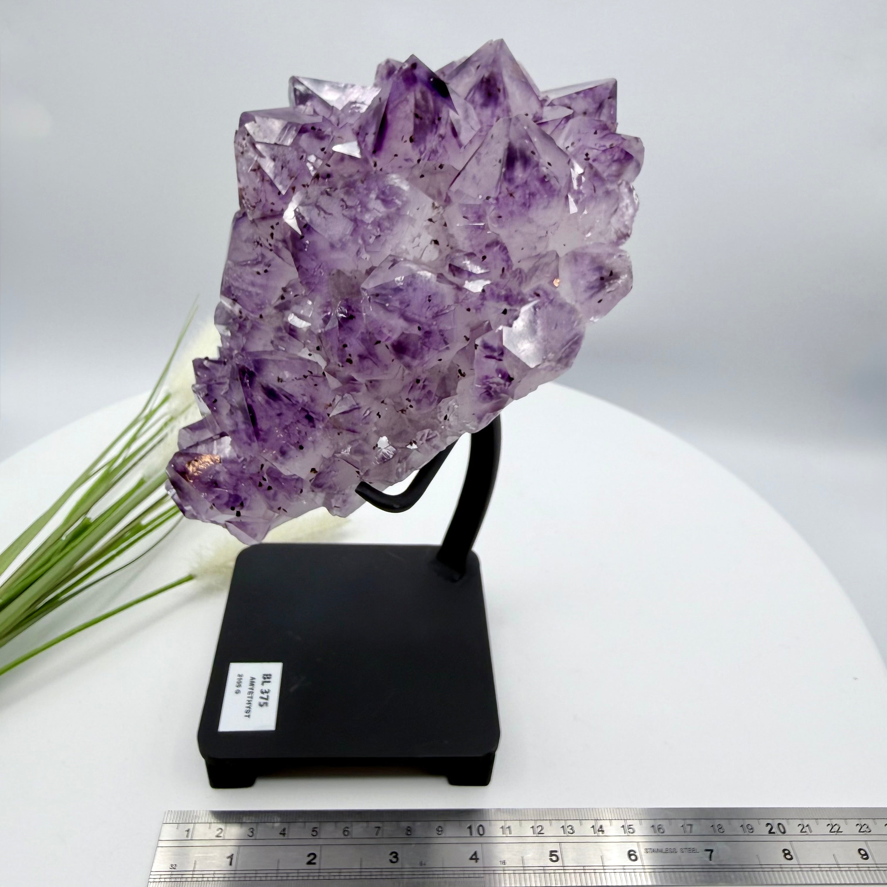 Amethyst Cluster with Gold Goethite Fan Rutile