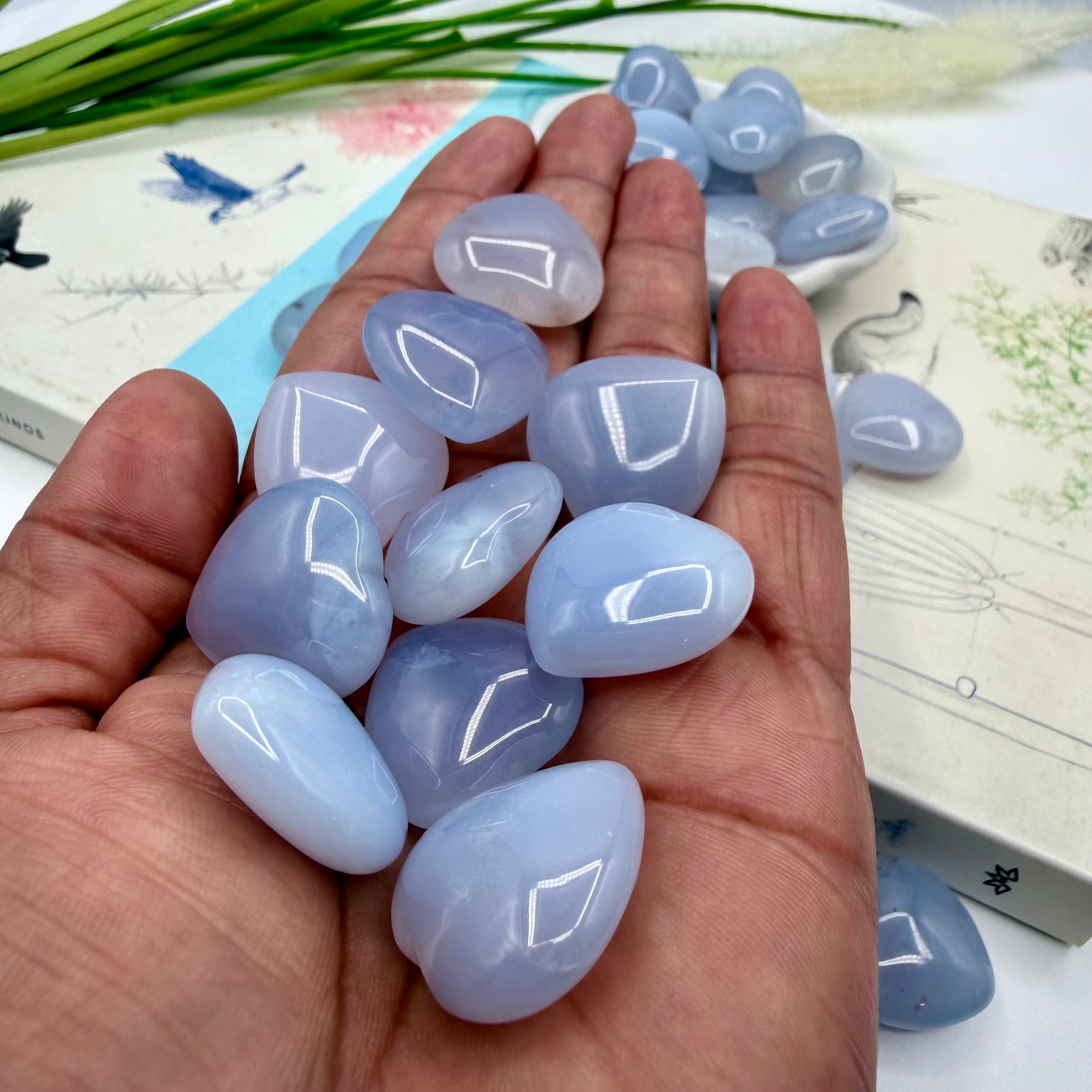 Blue Turkish Chalcedony Hearts 10g