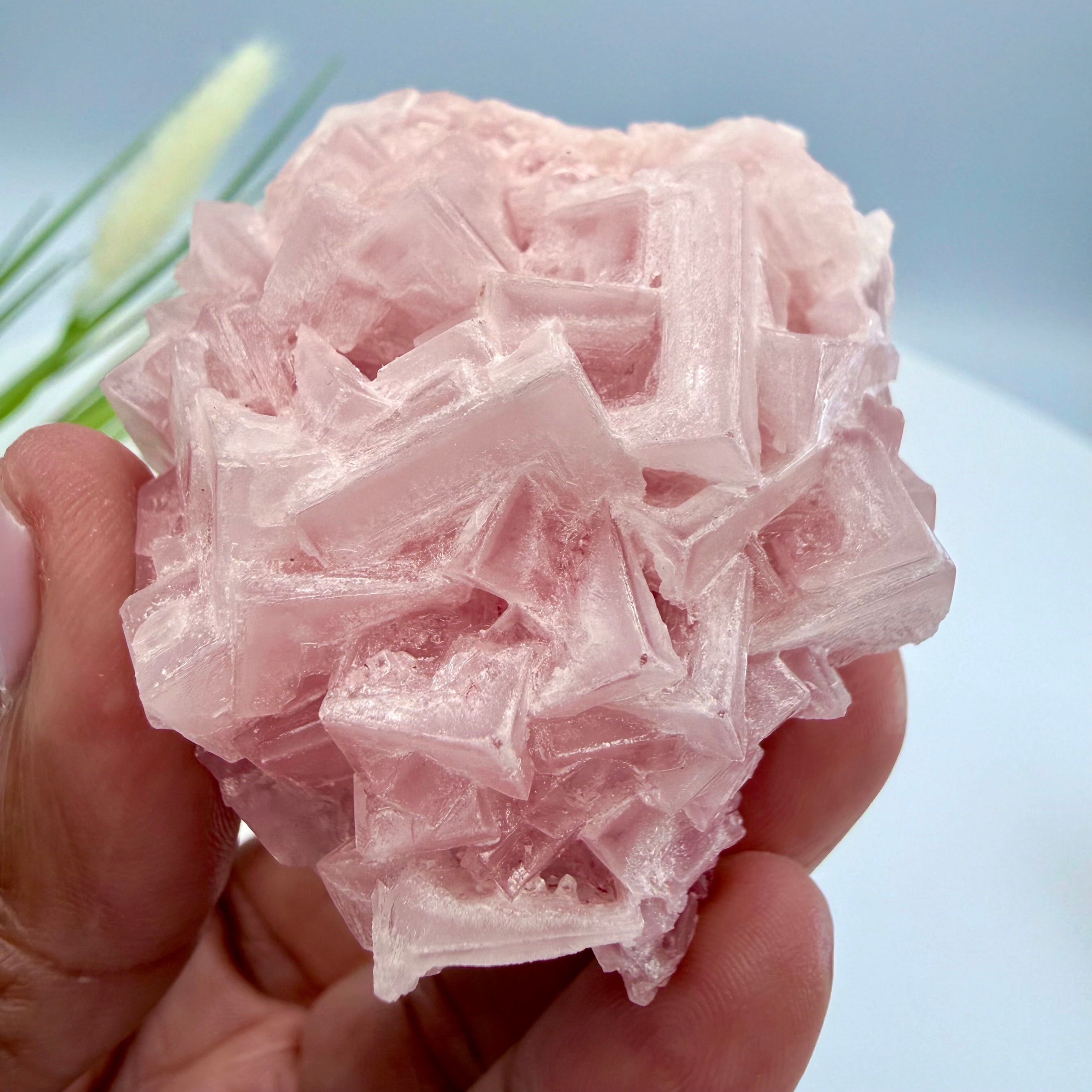 Pink Halite