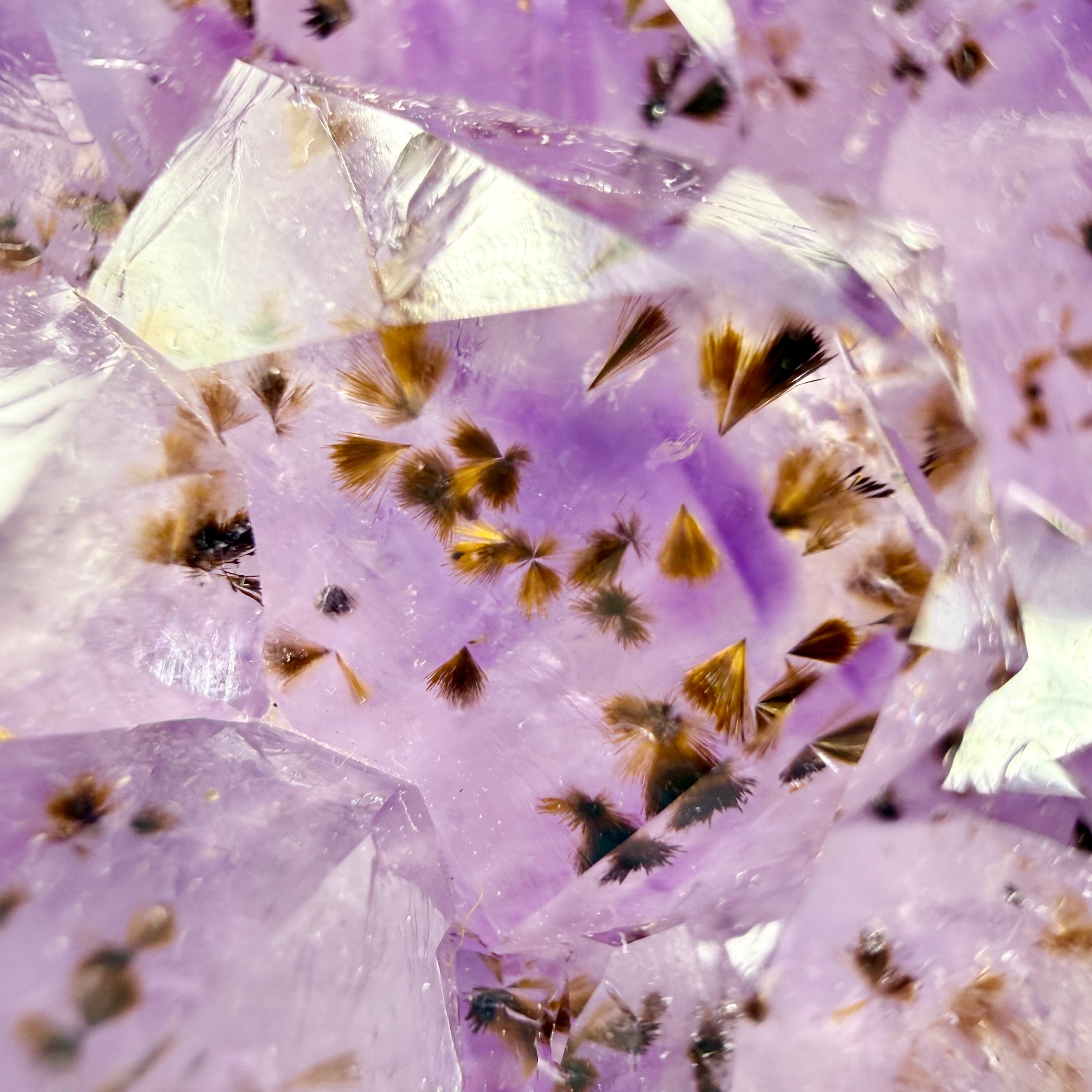 Amethyst Cluster with Gold Rutile Goethite