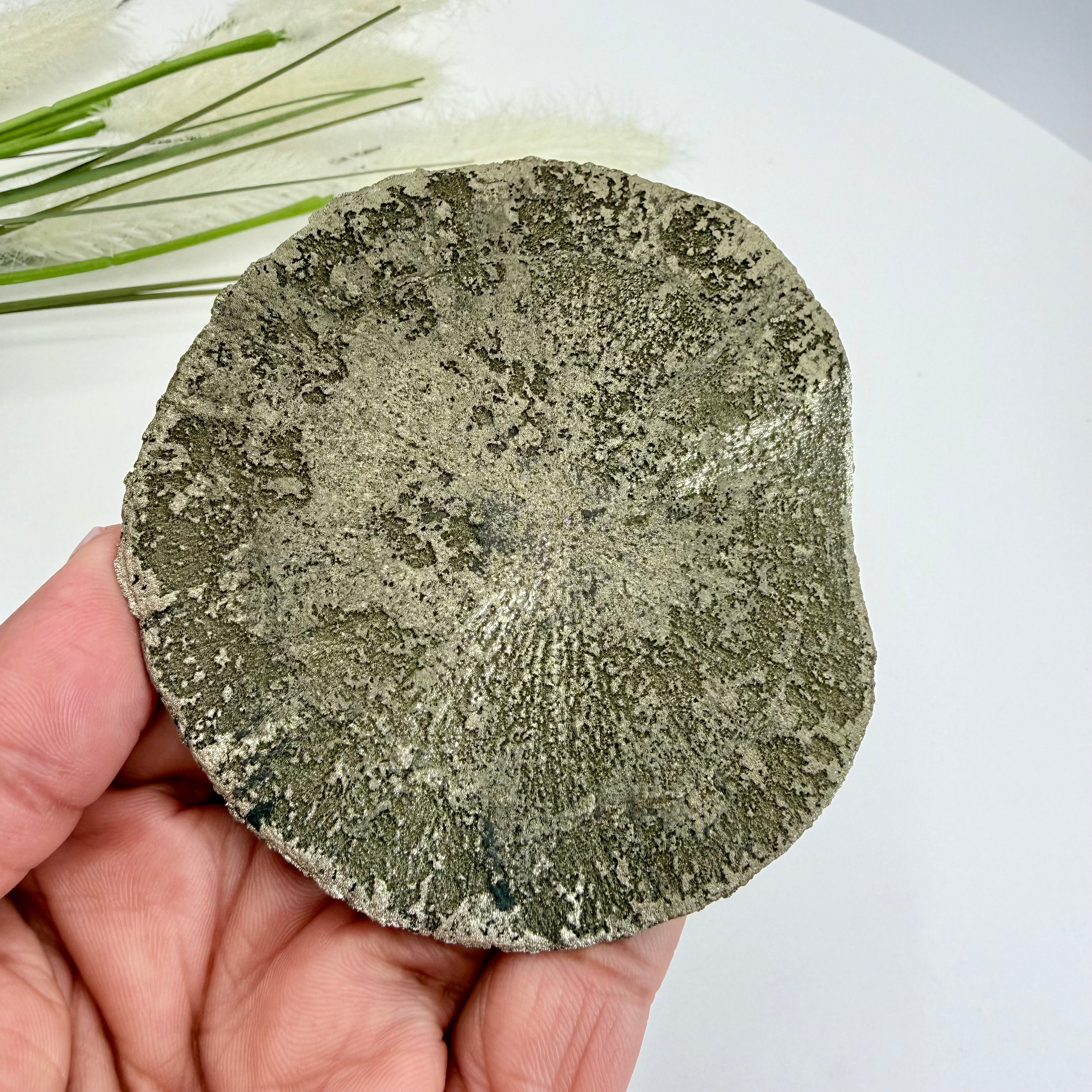 Illinois Pyrite Sun 8.5cm Diameter