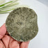 Illinois Pyrite Sun 8.5cm Diameter