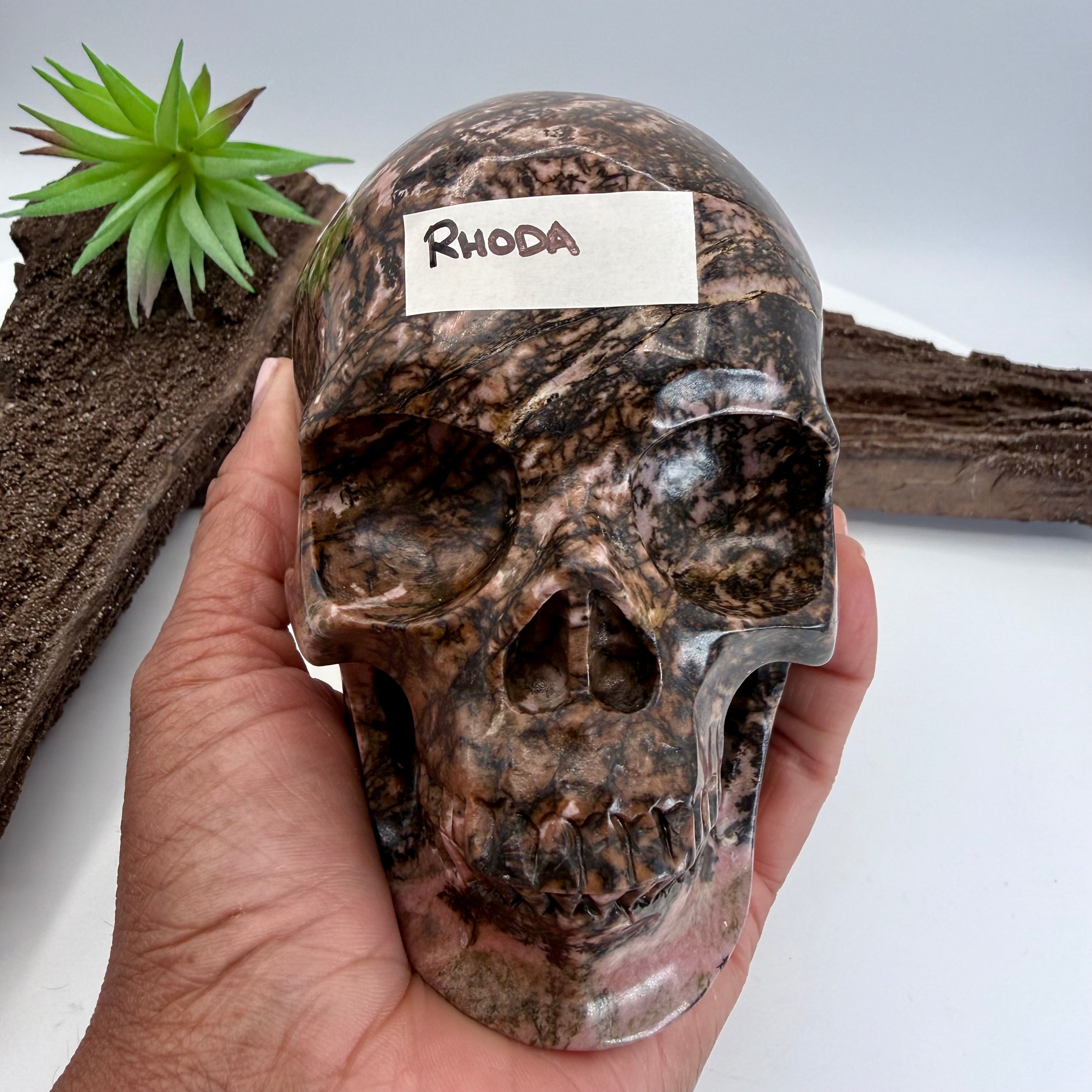 Rhoda Rhodonite 5inch Skull [JY169]