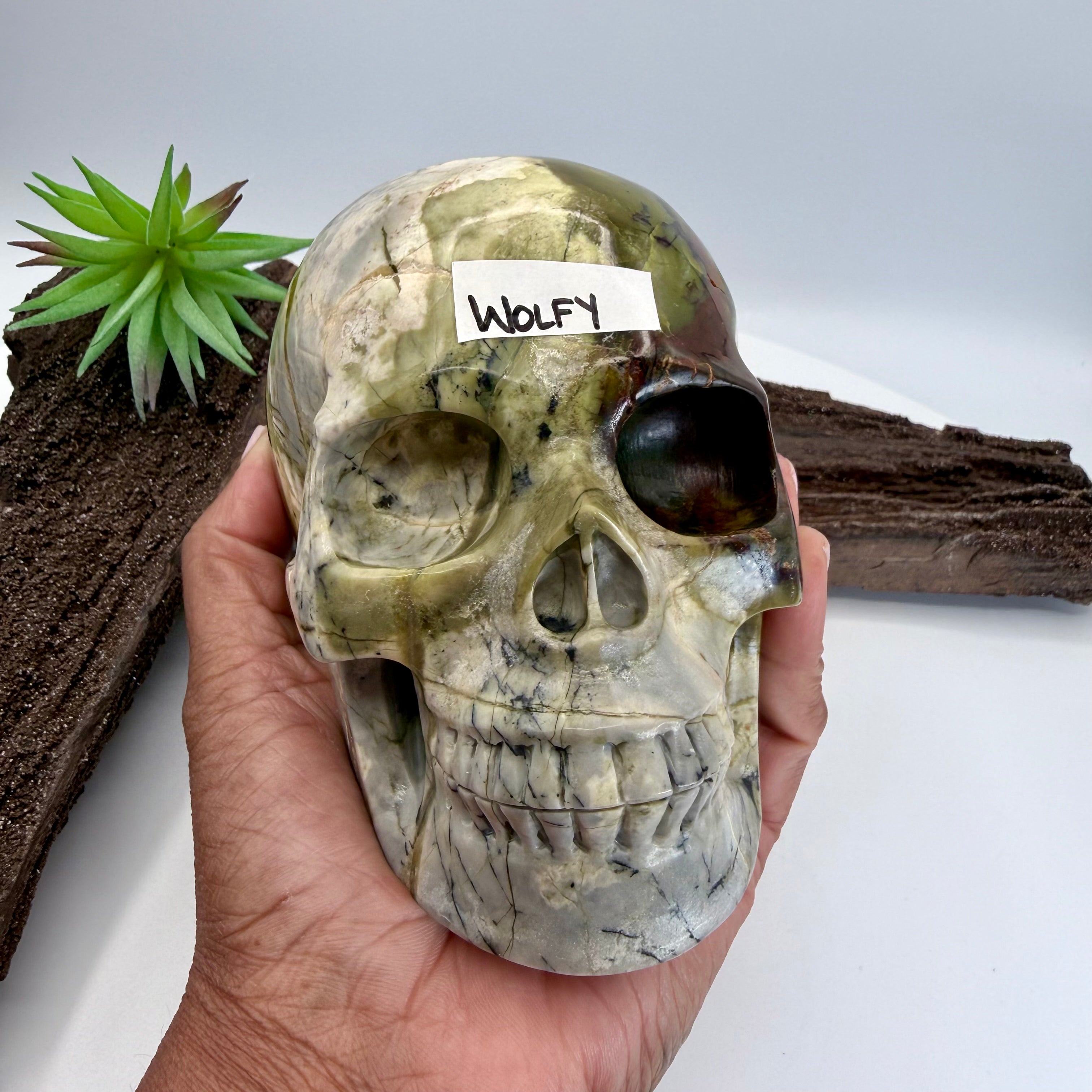 Wolfy Hiso Jasper 5inch Skull [JU249]