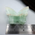 Carribean Calcite Butterfly