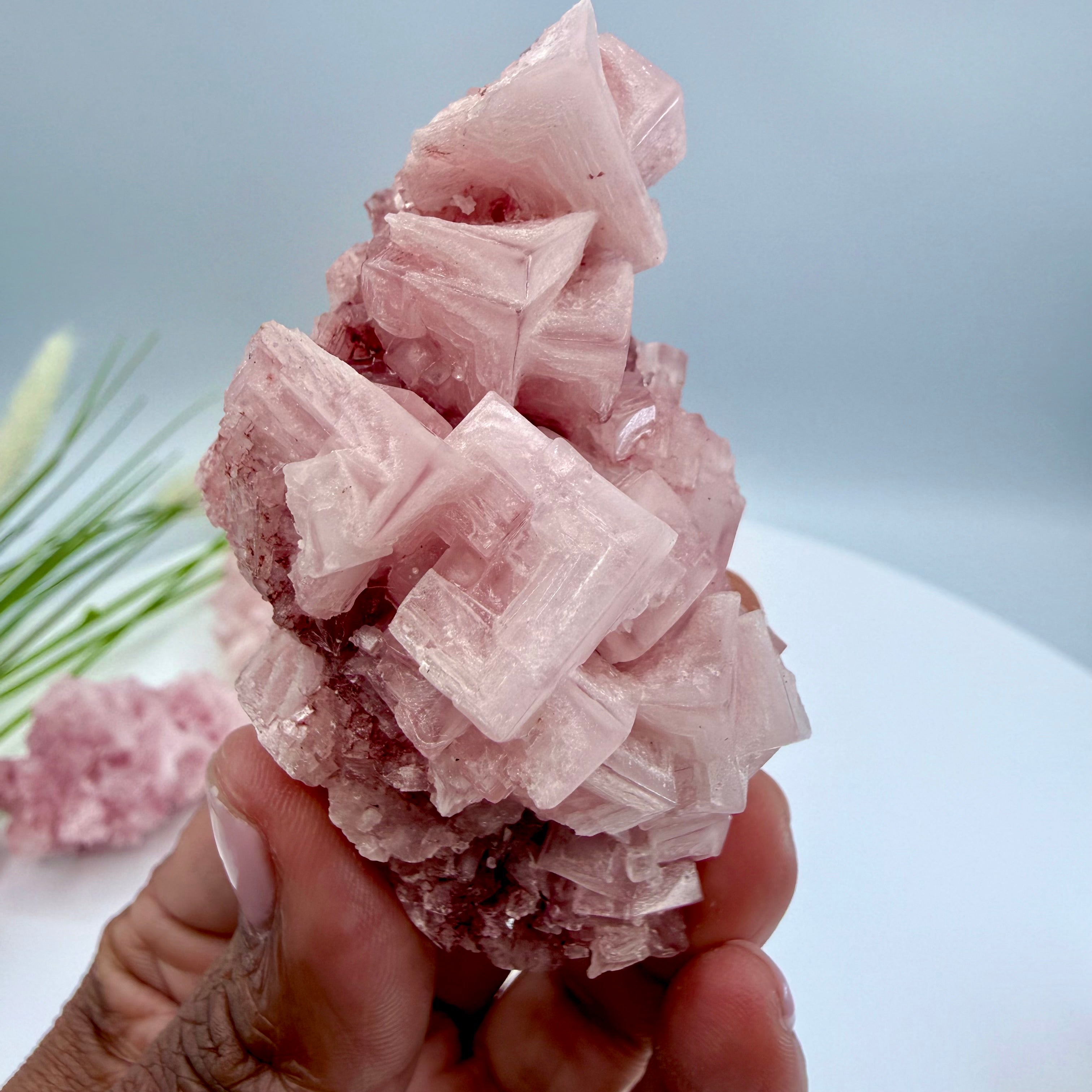 Pink Halite