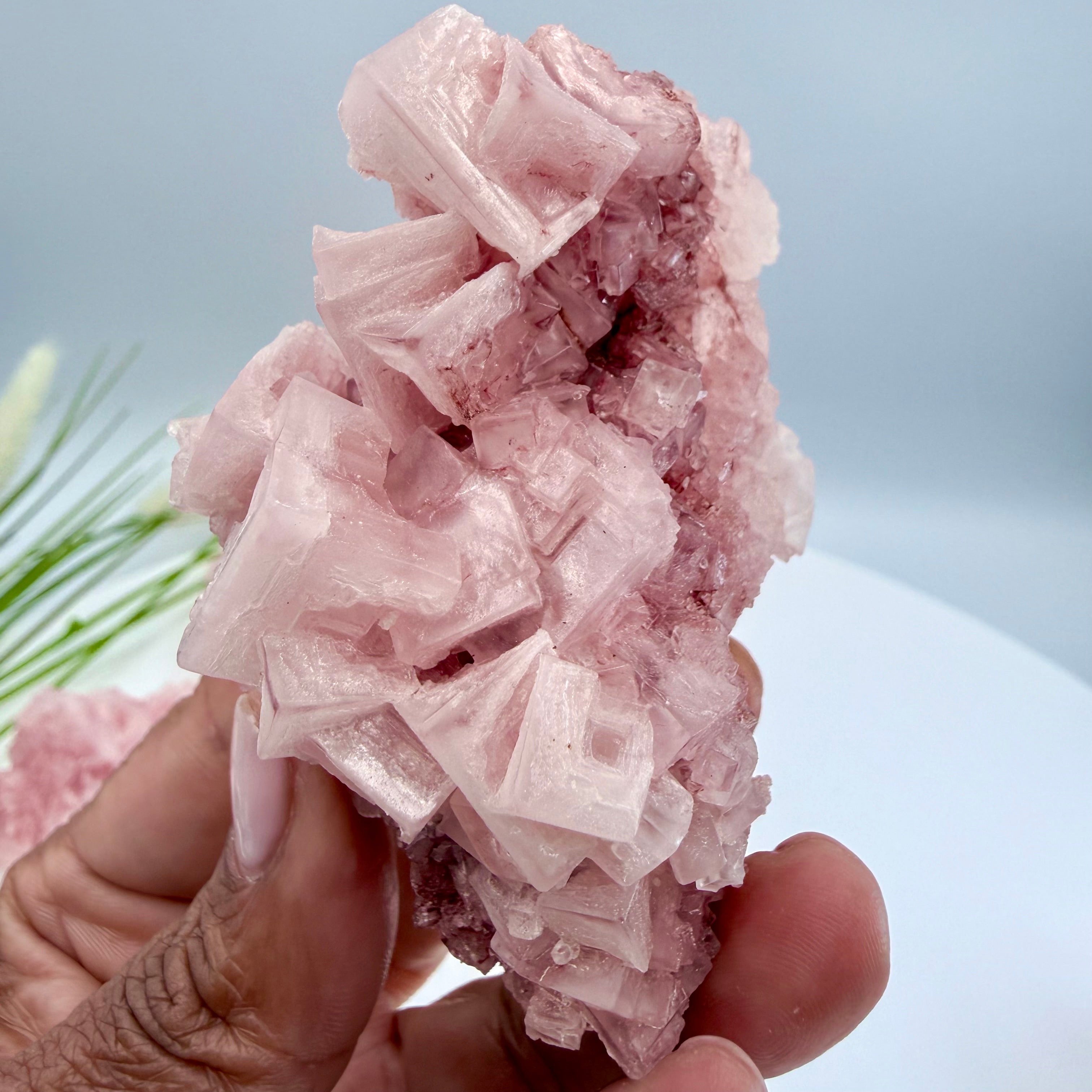 Pink Halite