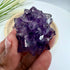 Uruguayan Amethyst Flower