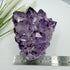 Amethyst Cluster with Gold Goethite Fan Rutile