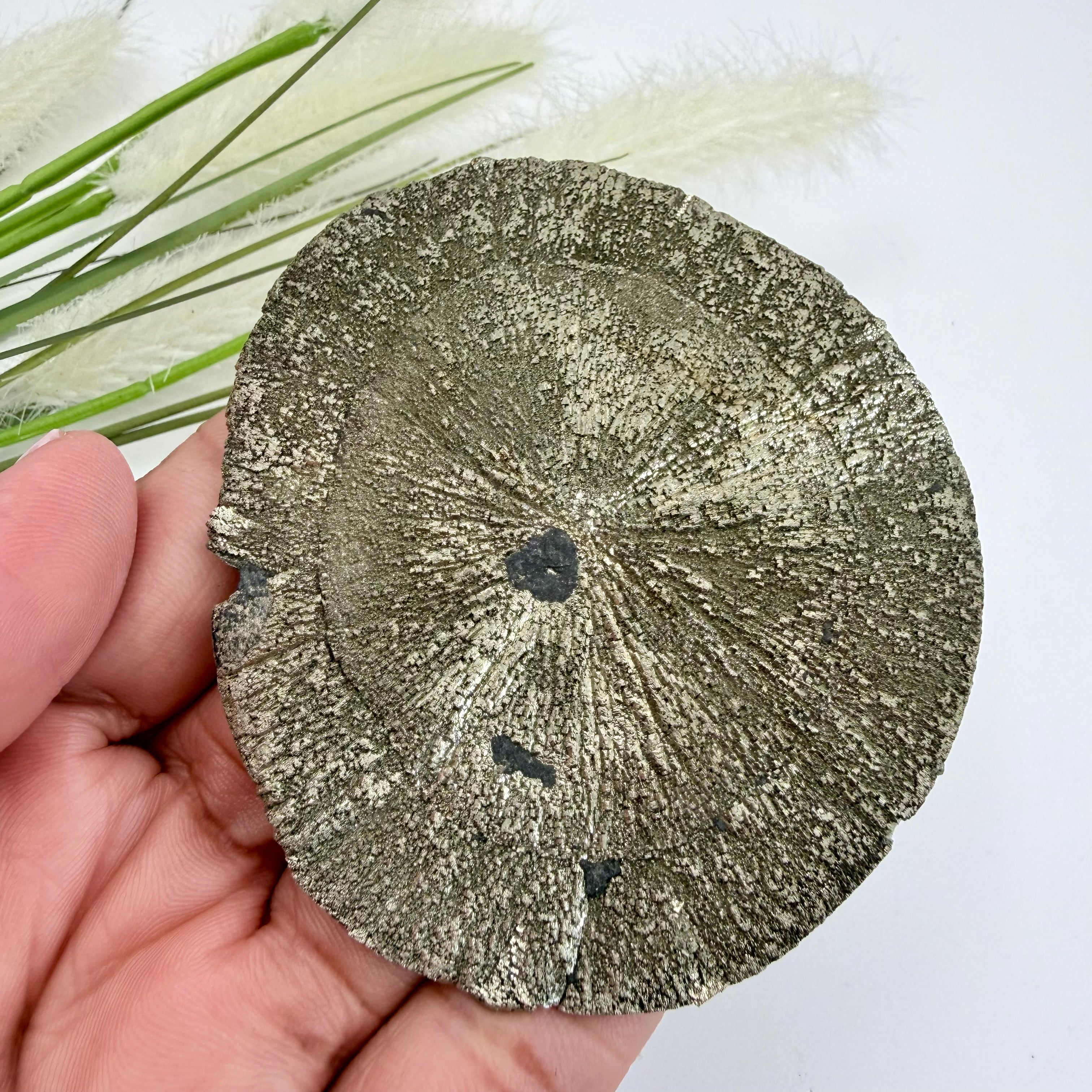 Pyrite Sun 7.5cm Diameter